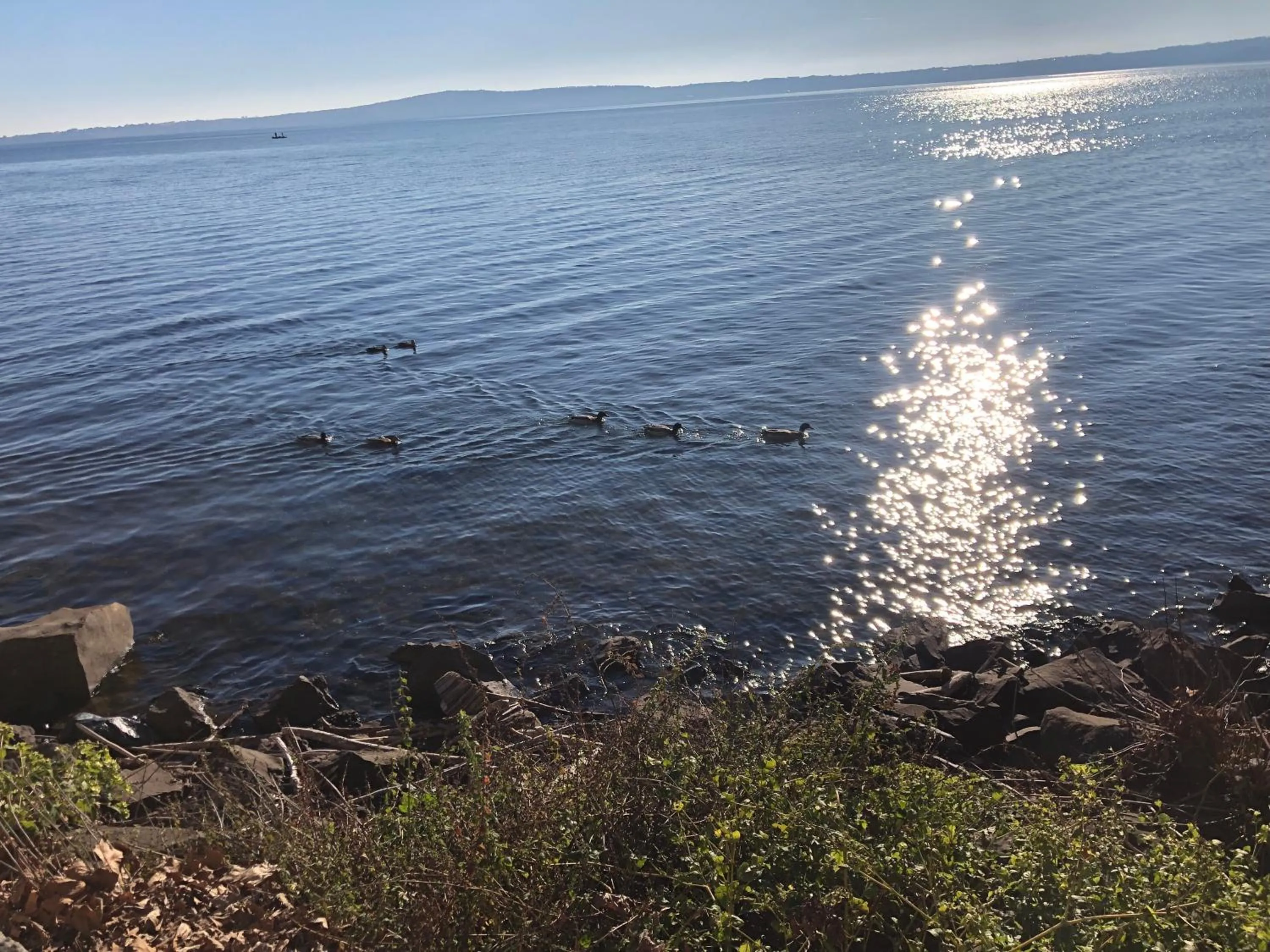 Casale Fedele Relax B&B Vicino al Borgo