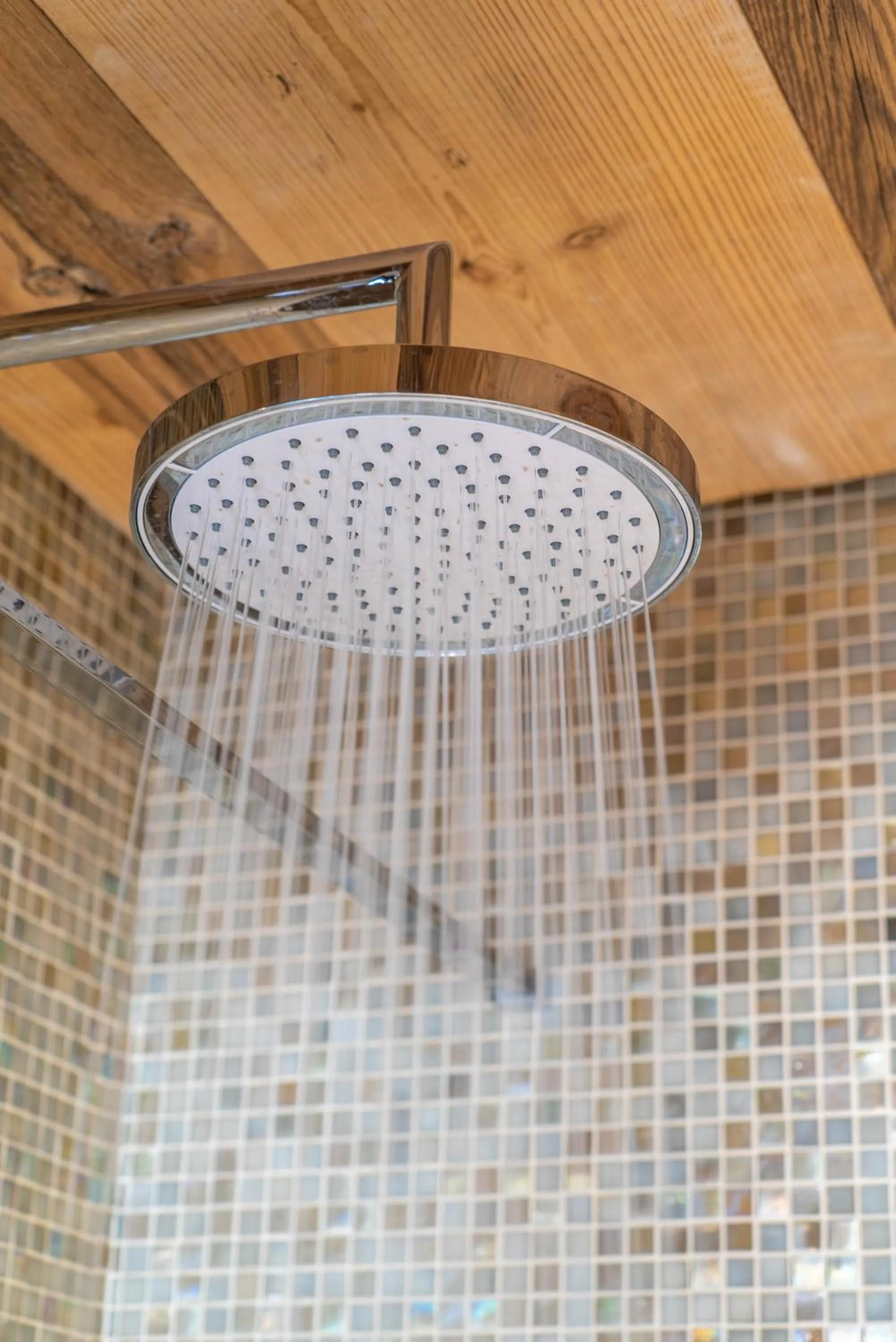 Shower in Hotel Le V de Vaujany