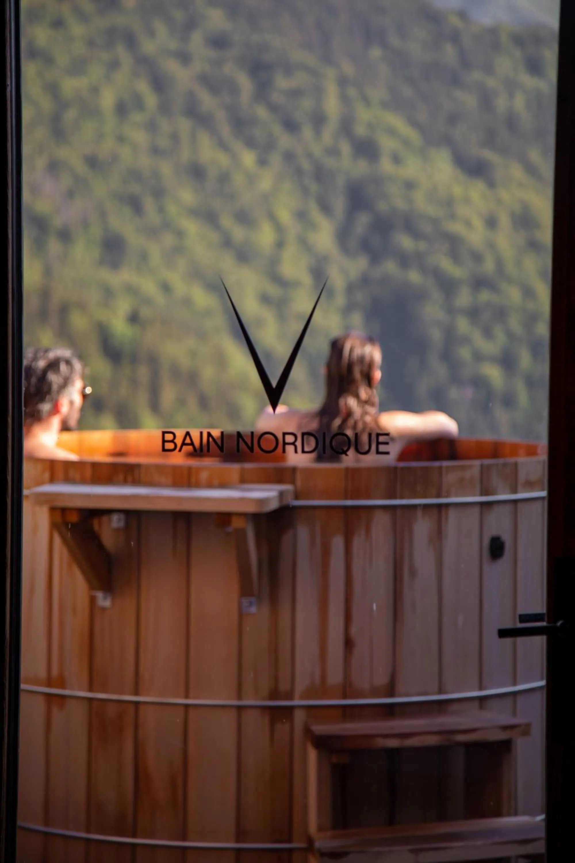 Mountain view in Hotel Le V de Vaujany