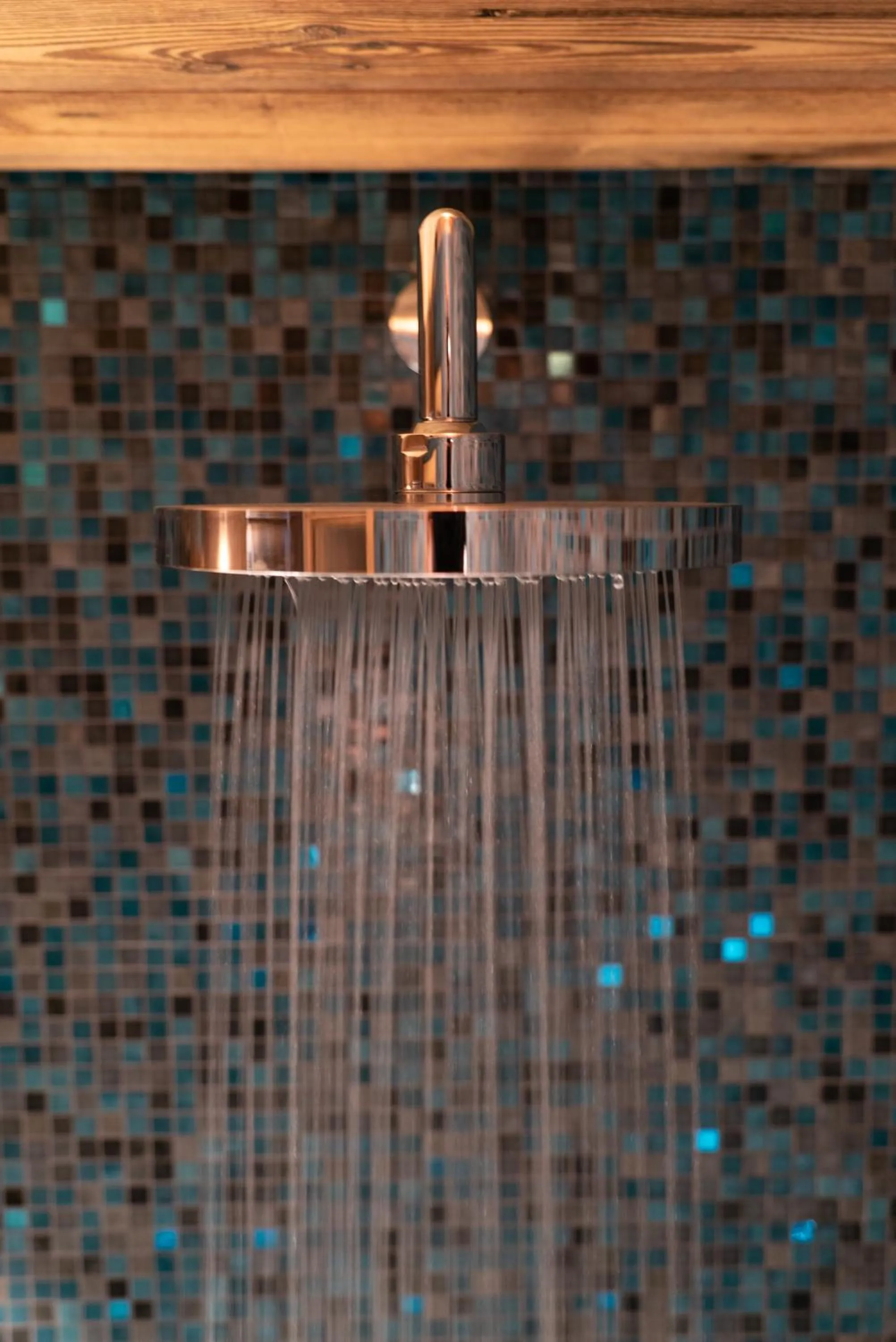 Shower in Hotel Le V de Vaujany