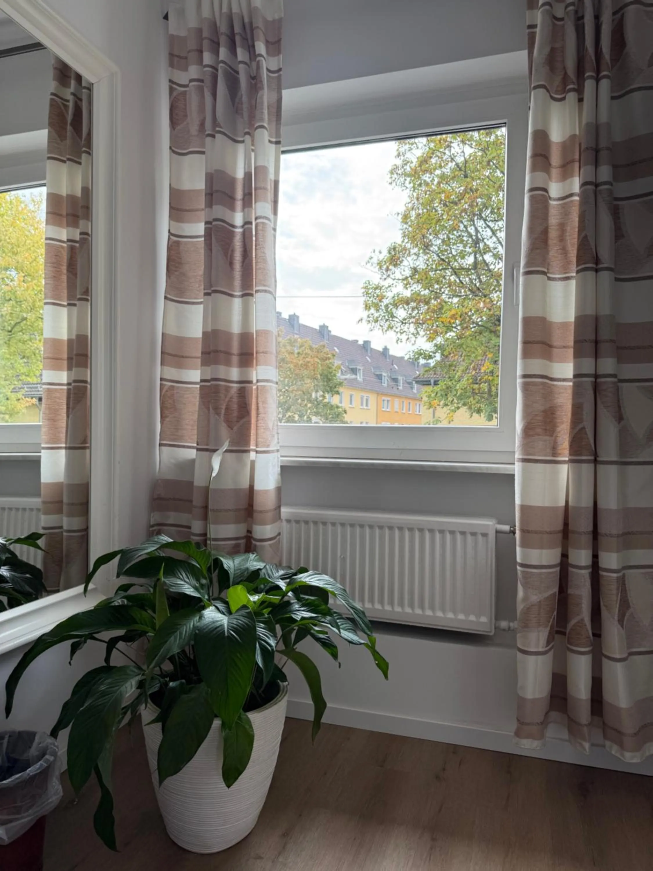 Photo of the whole room in Hotel Schäfer