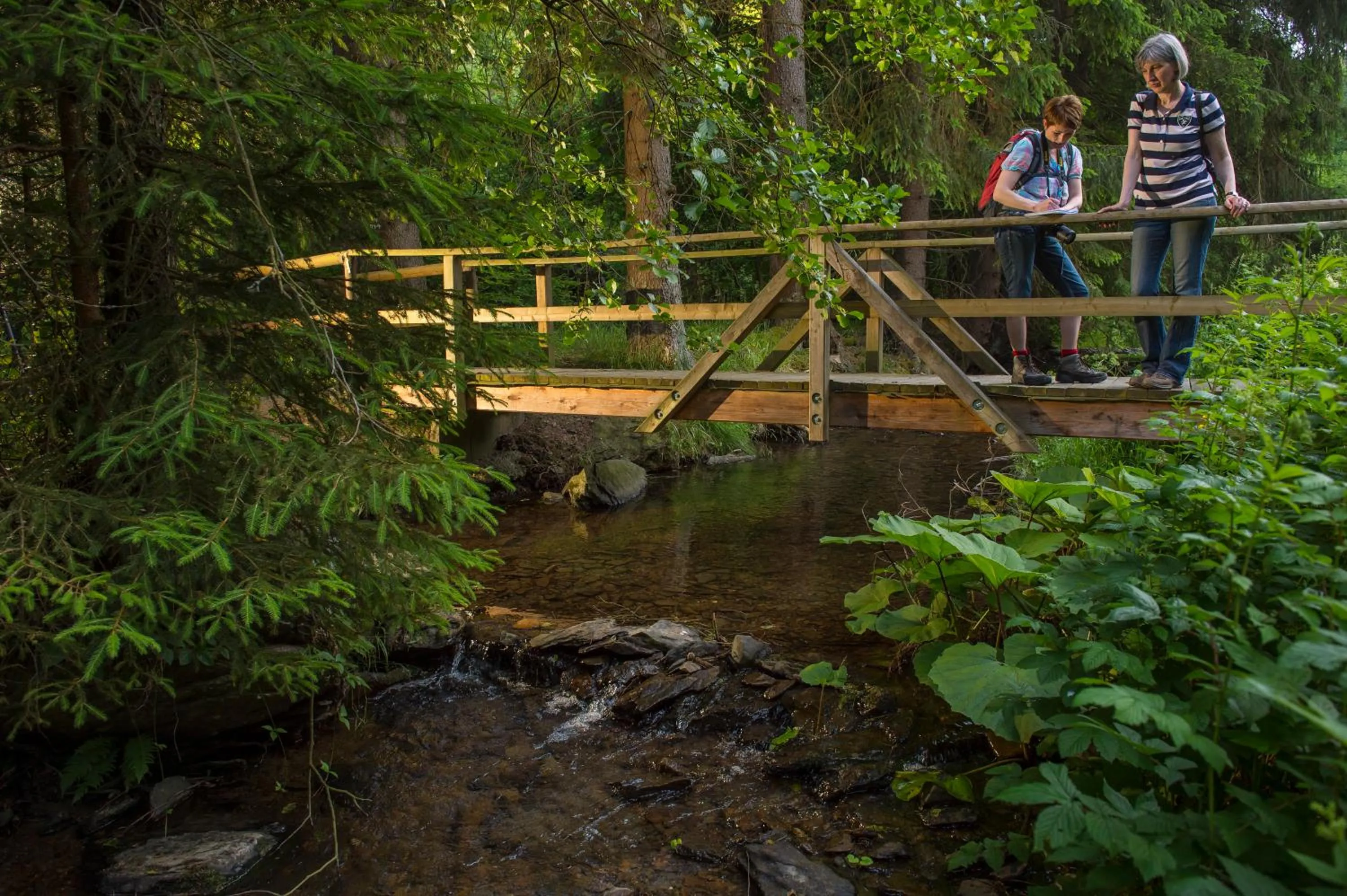Hiking in Hotel im Auerbachtal