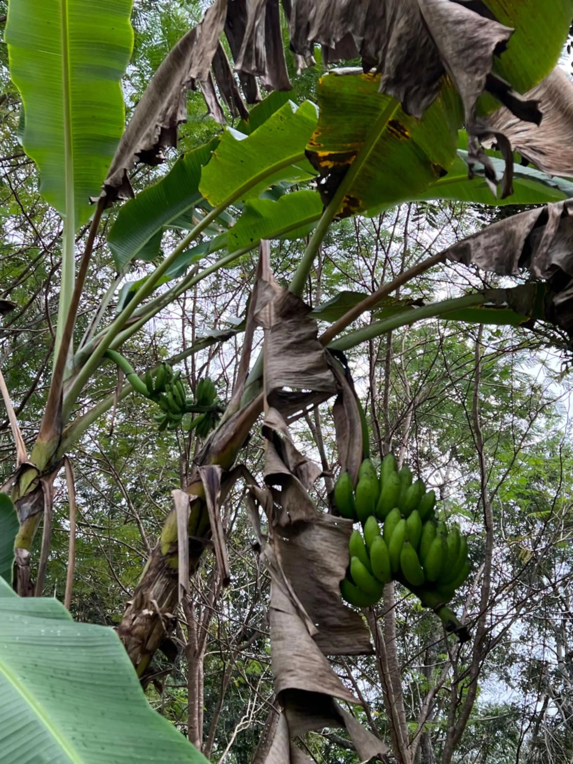 Day in El Encanto - Hotel Boutique