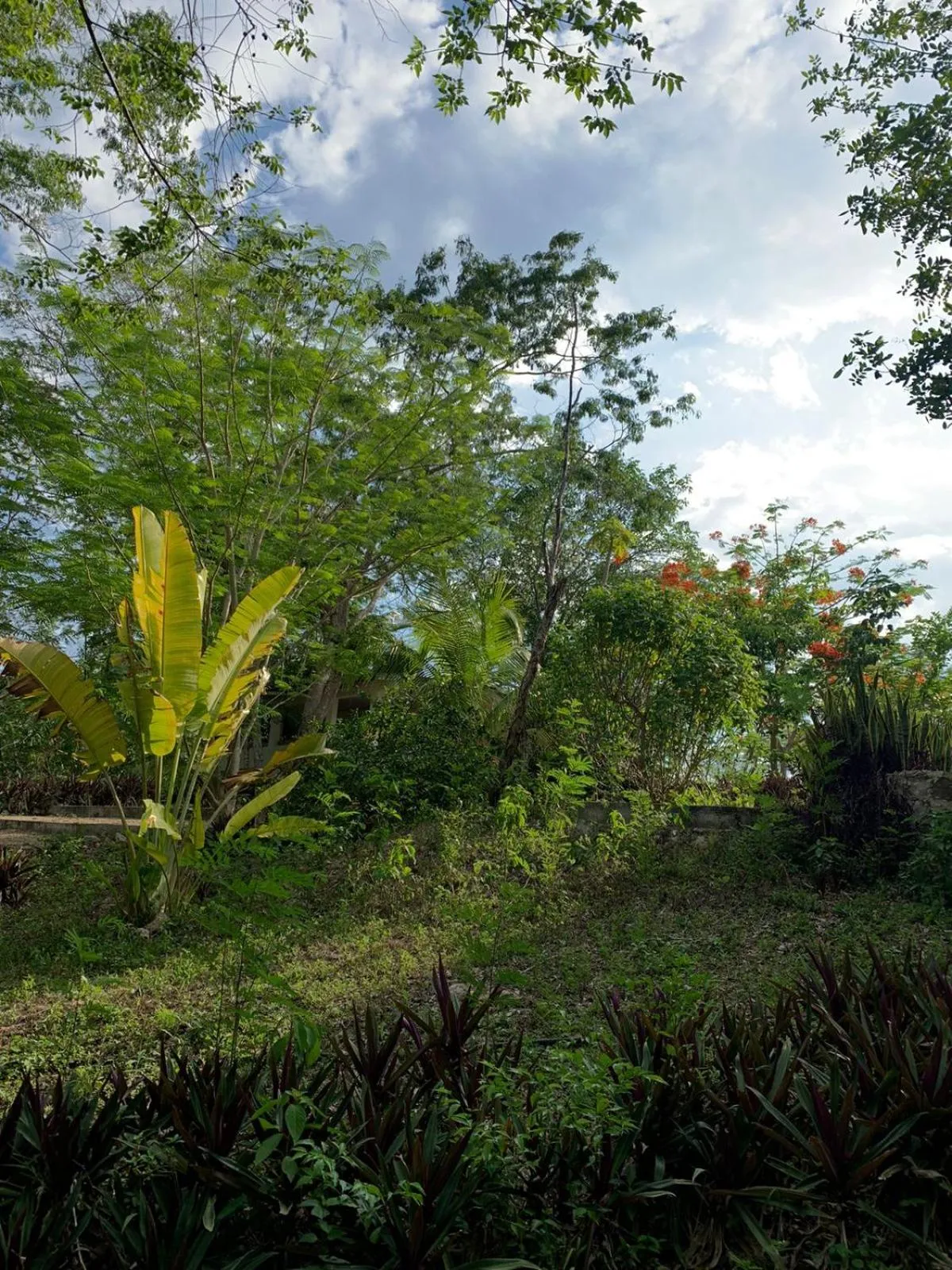 Spring in El Encanto - Hotel Boutique