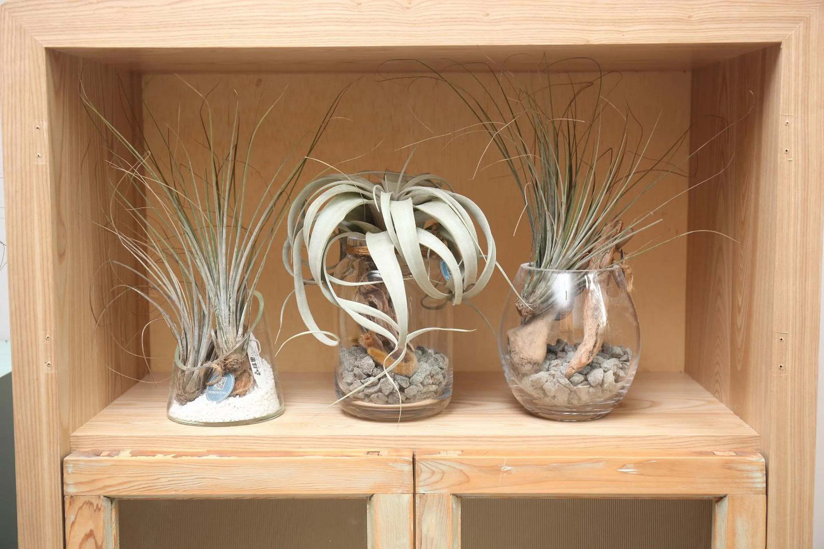 Lobby or reception in Spring Guest House