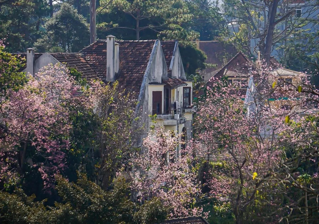 Spring in HOMESTAY THÙY DƯƠNG