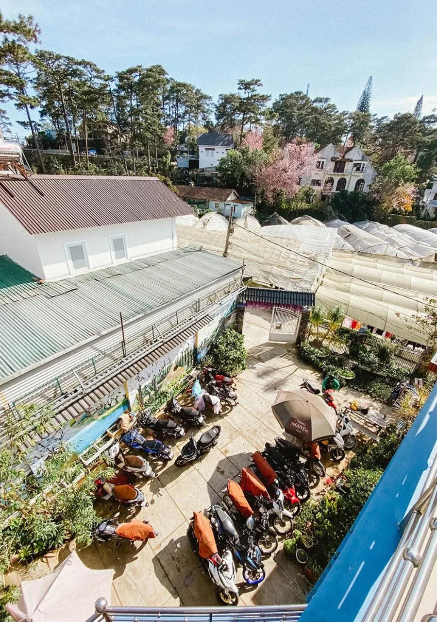 Spring in HOMESTAY THÙY DƯƠNG