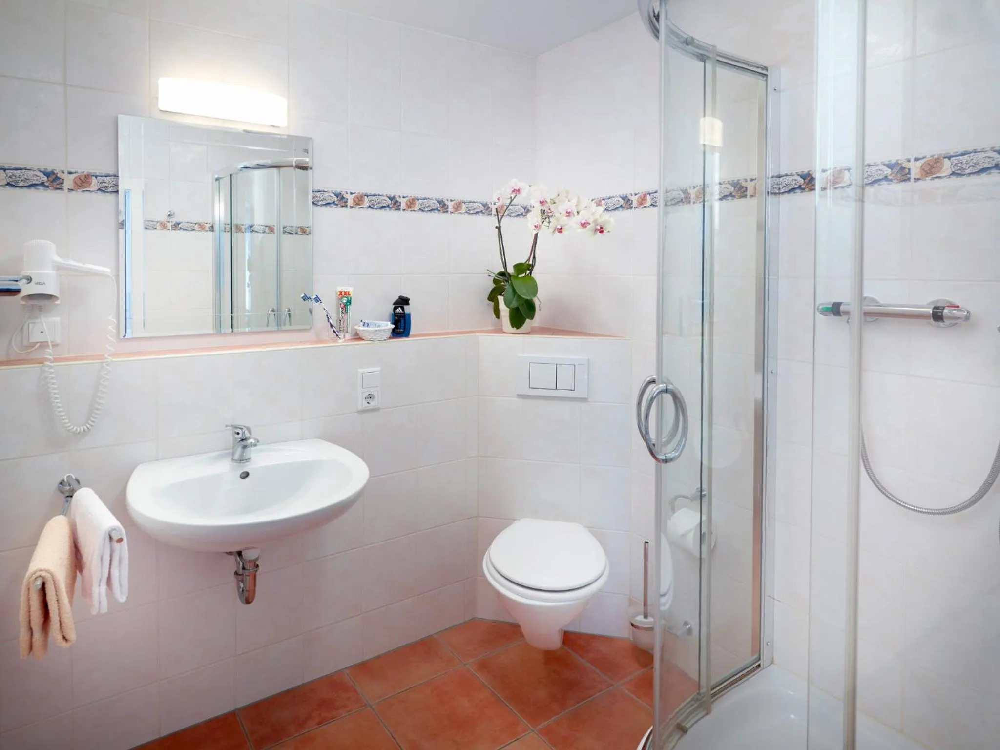 Shower in Landhotel Halbfas-Alterauge