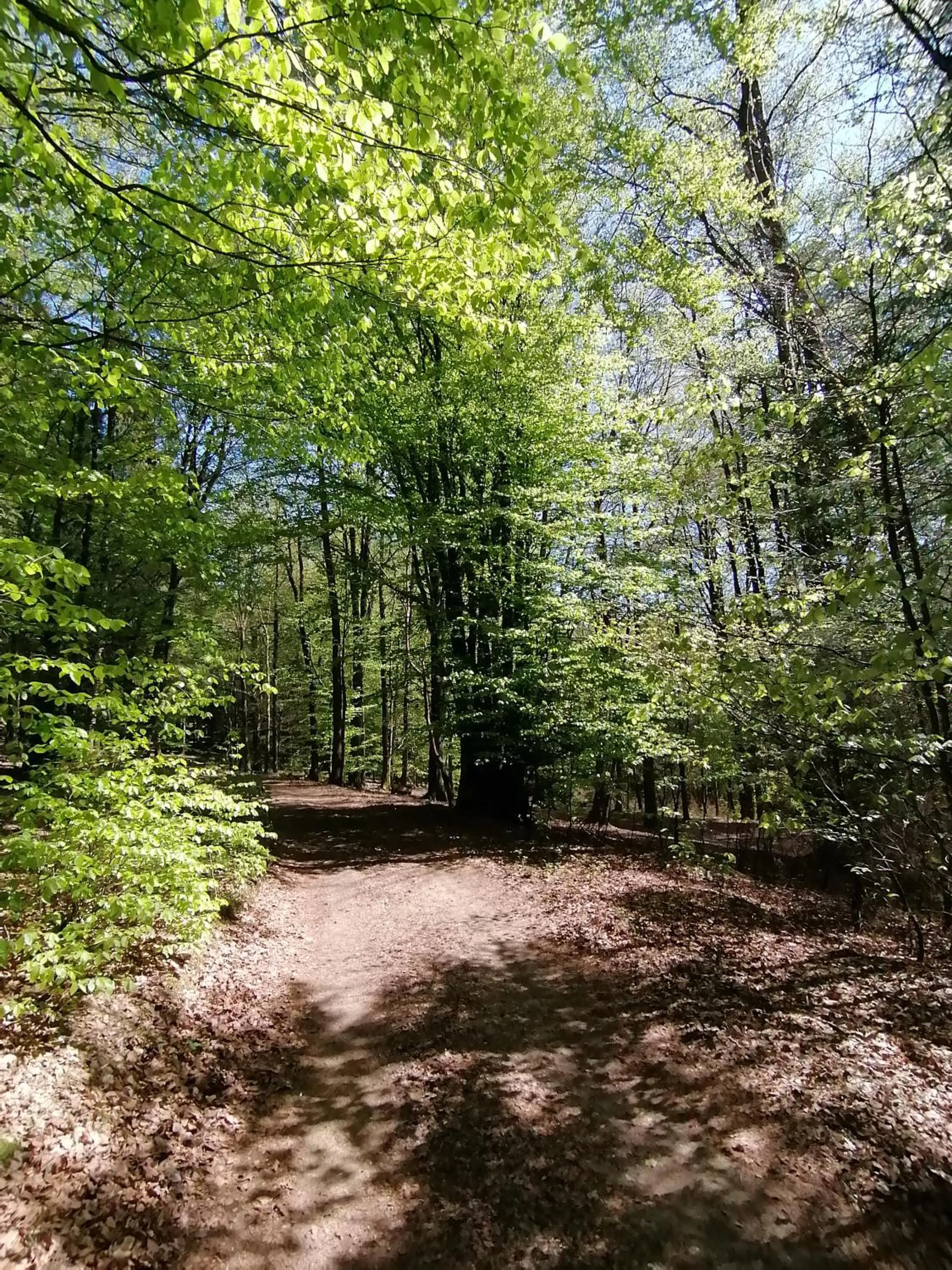 Spring in Landhotel Halbfas-Alterauge