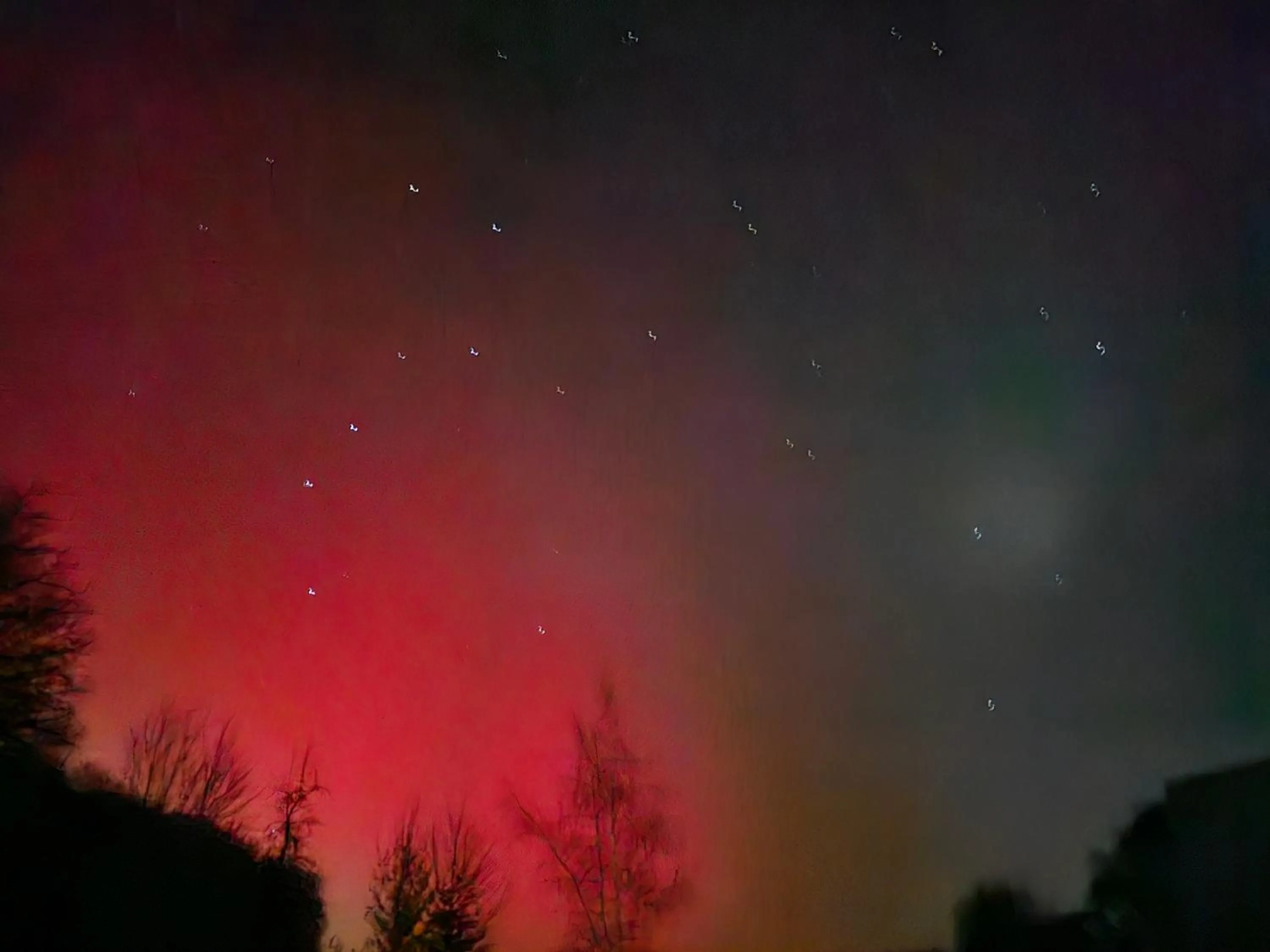 Night in Landhotel Halbfas-Alterauge