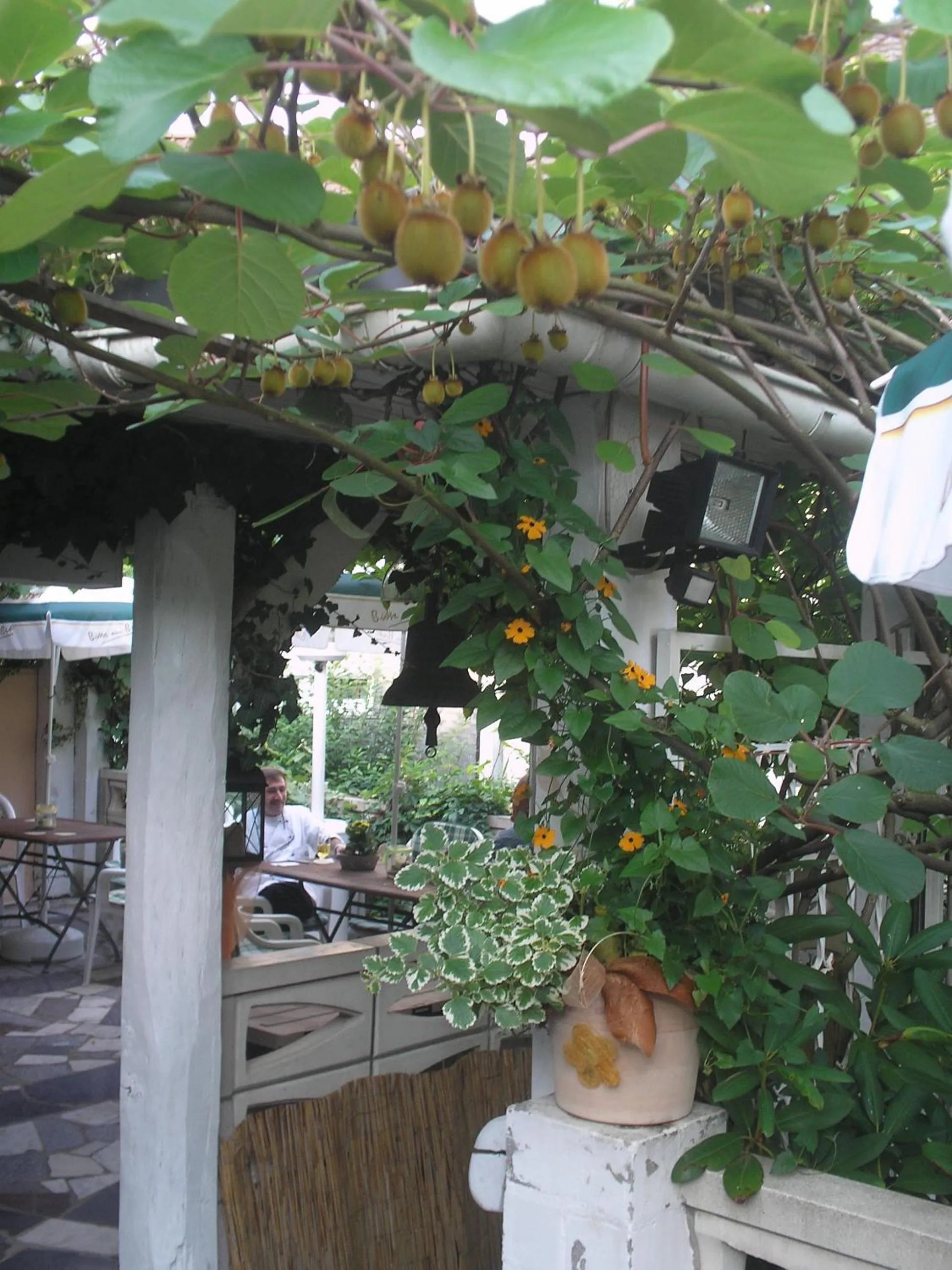 Patio in Hotel Nassauer Hof
