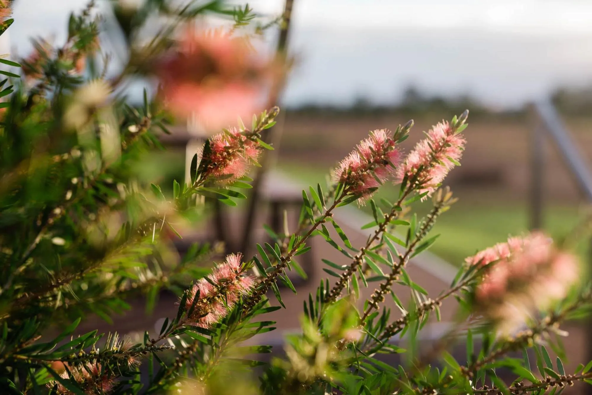 Property building in Mitchell Grass Retreat
