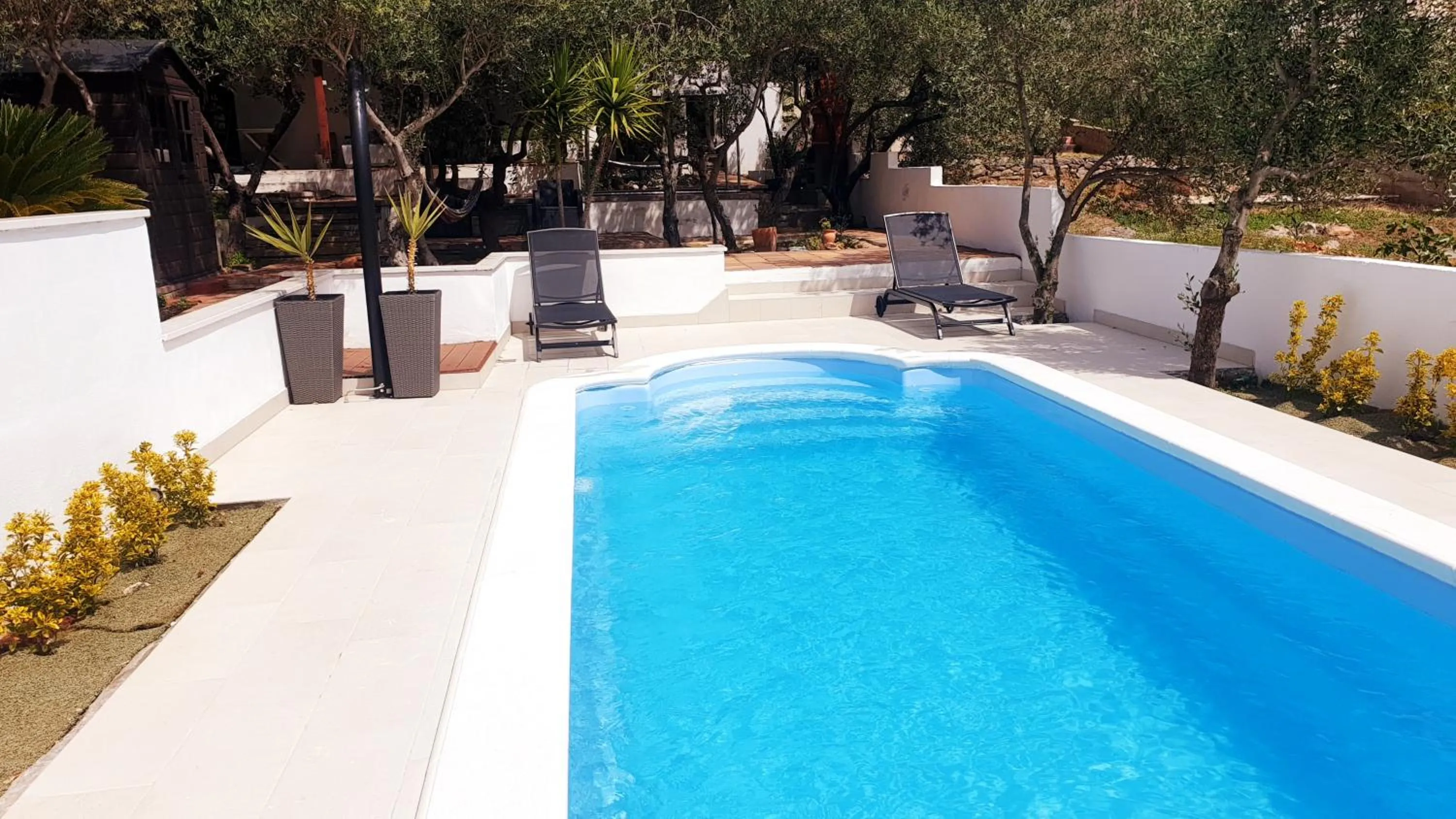 Swimming Pool in House with big walled oliva garden