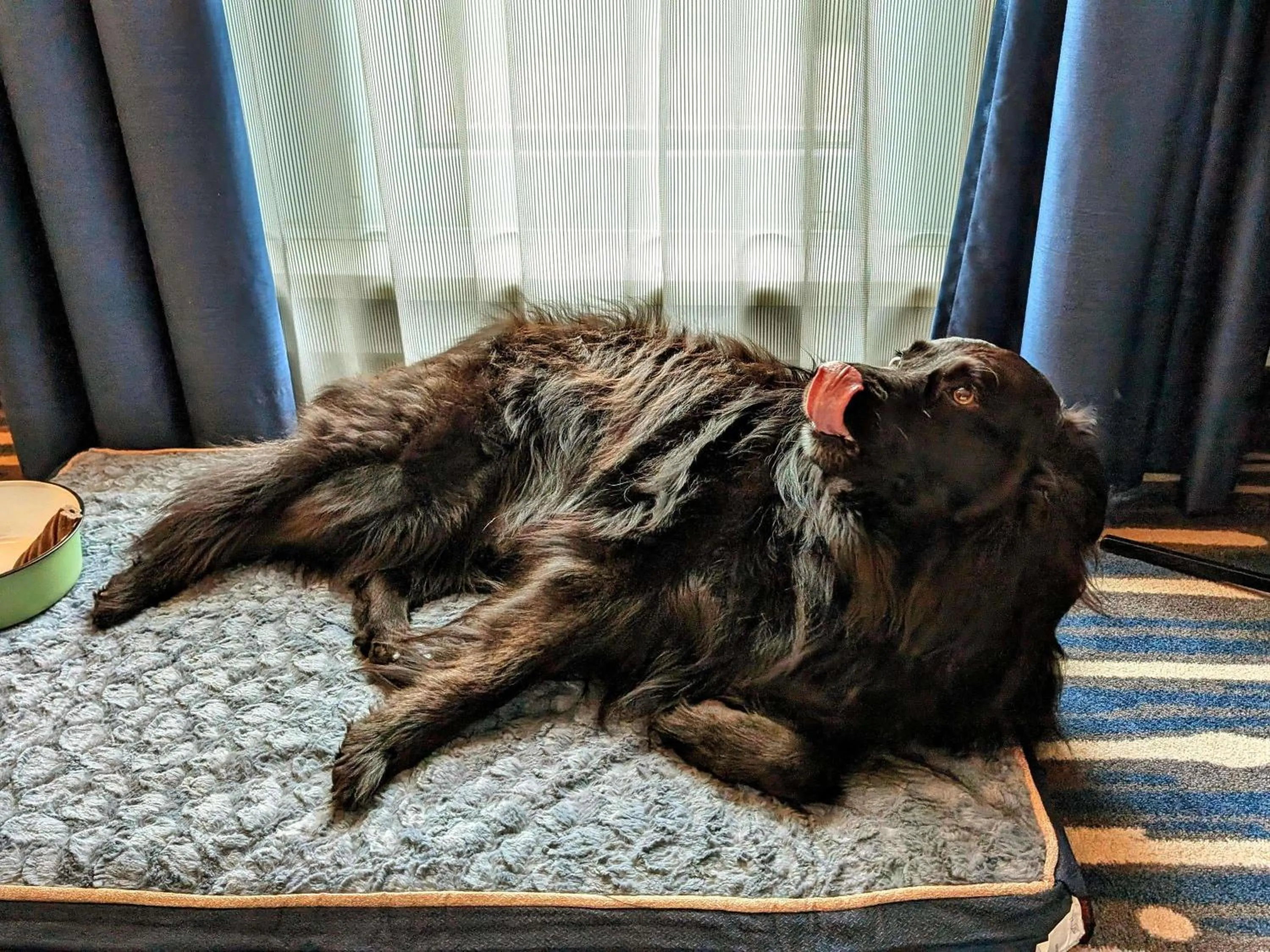 Bedroom in Mercure Hotel Hamburg Mitte