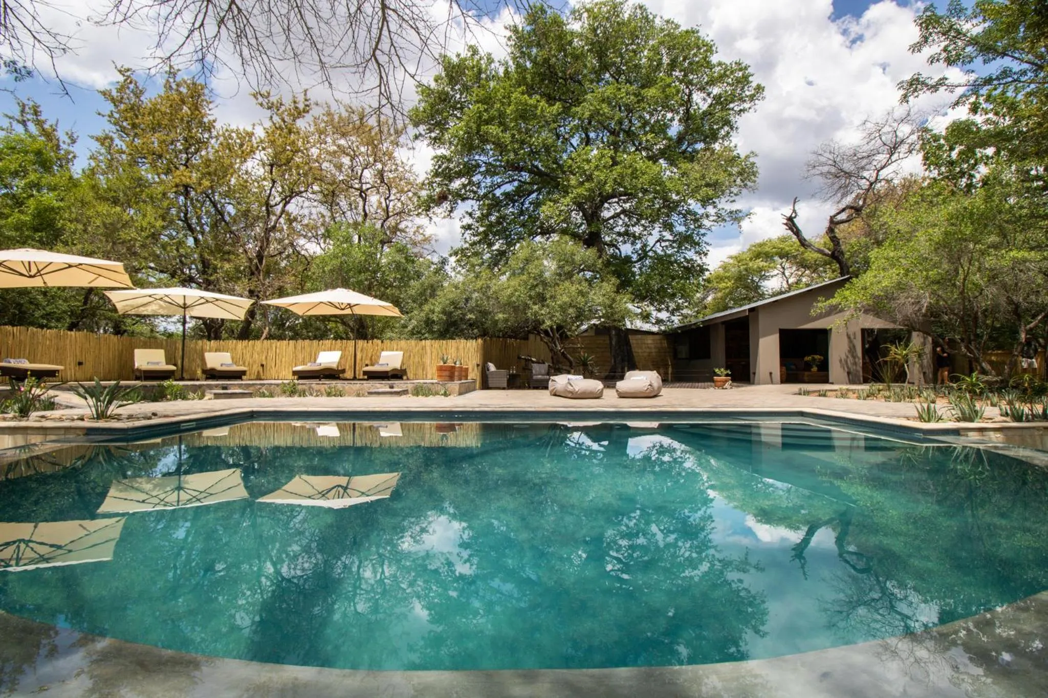 Swimming pool in Little Africa Safari Lodge