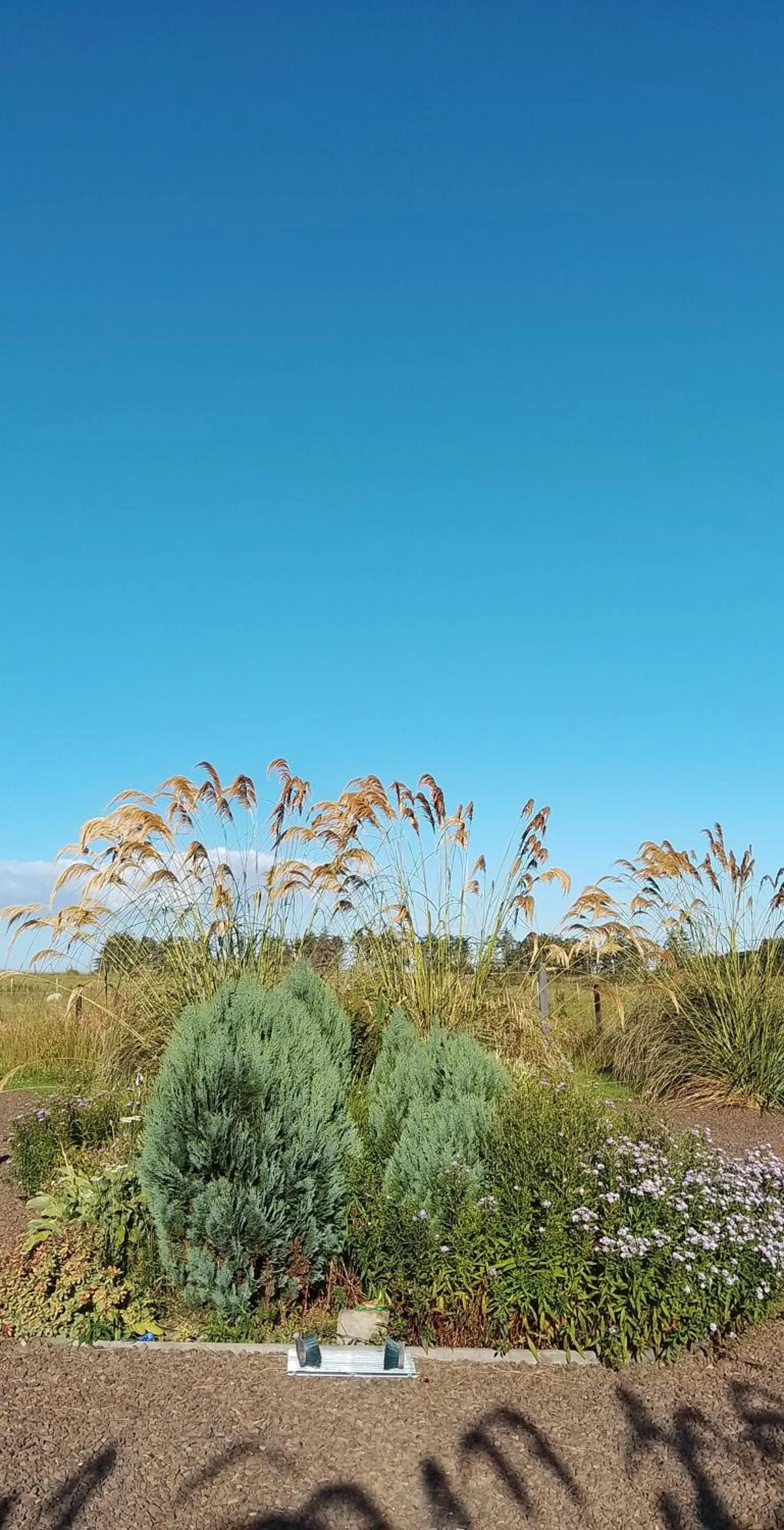 Garden in North Star Glamping