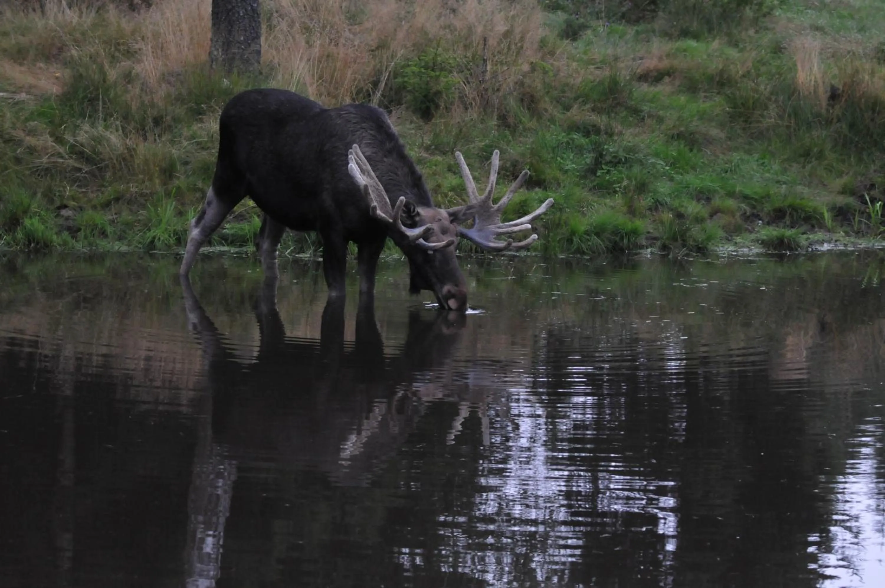 Hiking in Husby Säteri