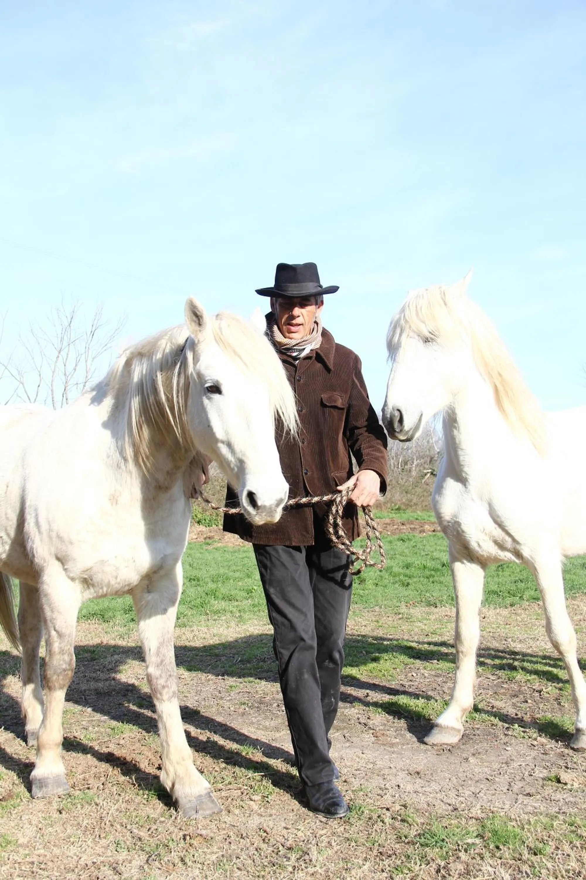 La roulotte "Les Saintes"