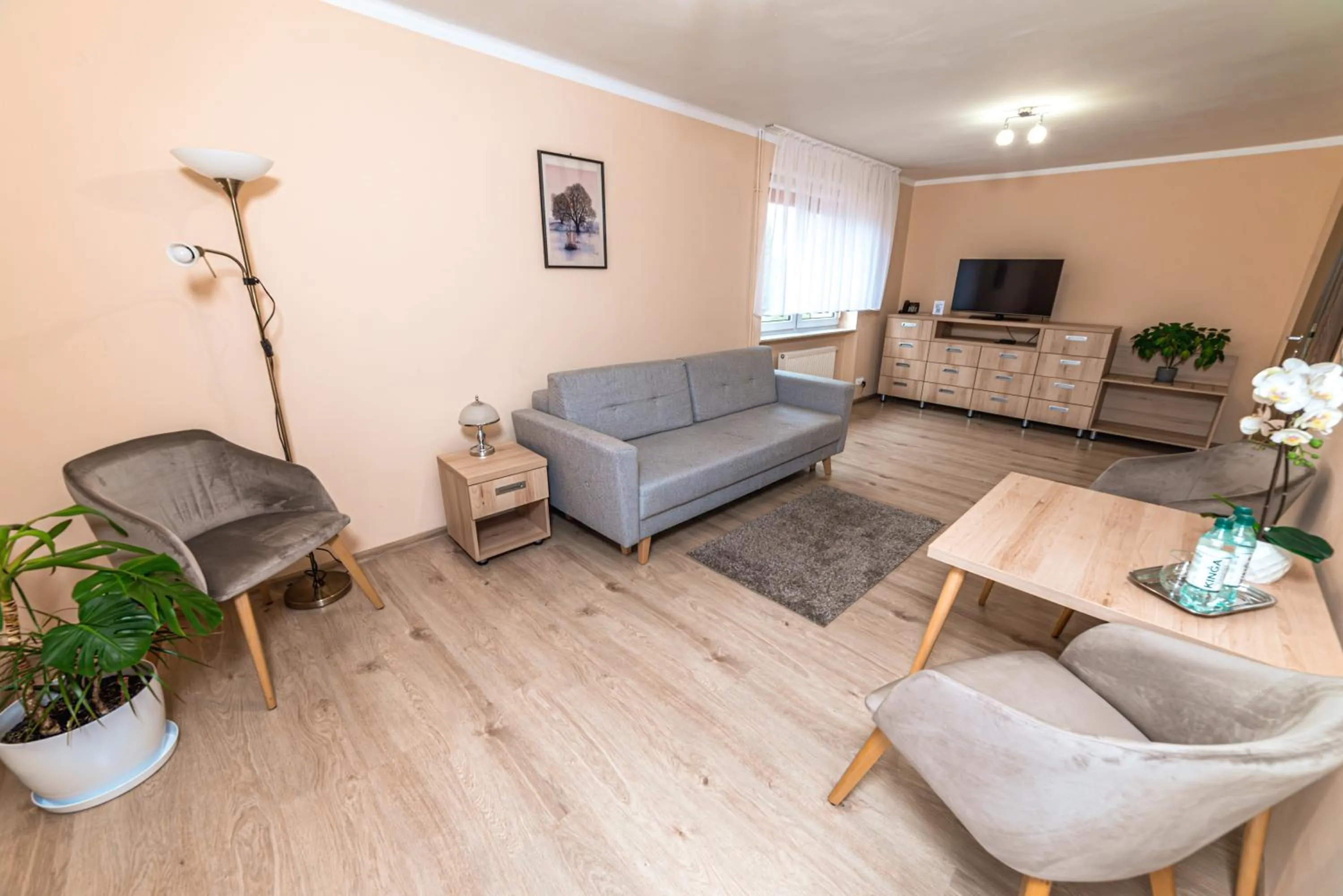 TV and multimedia in Hotel Skaut