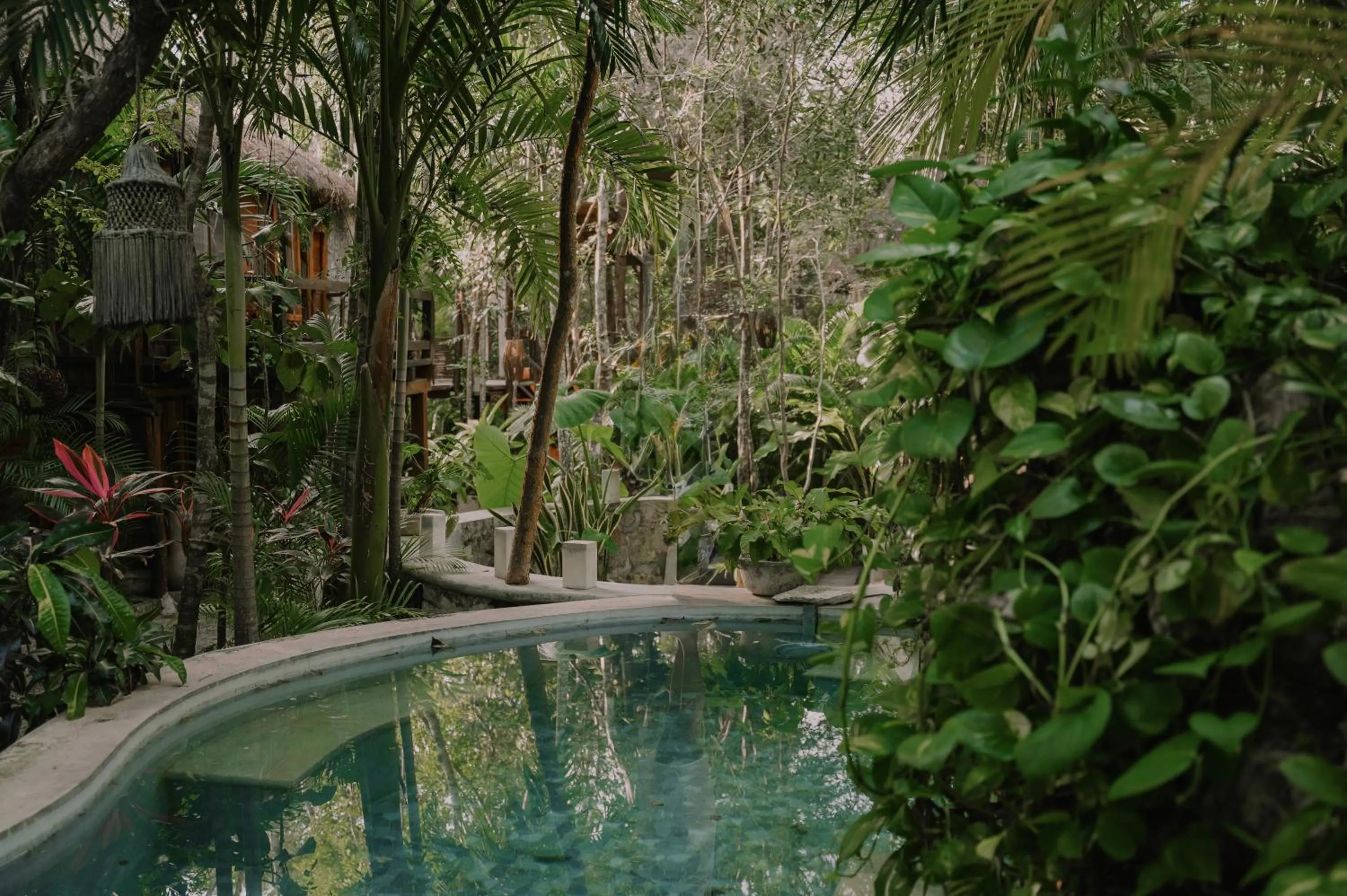 Natural landscape in ANAND Ecoaldea