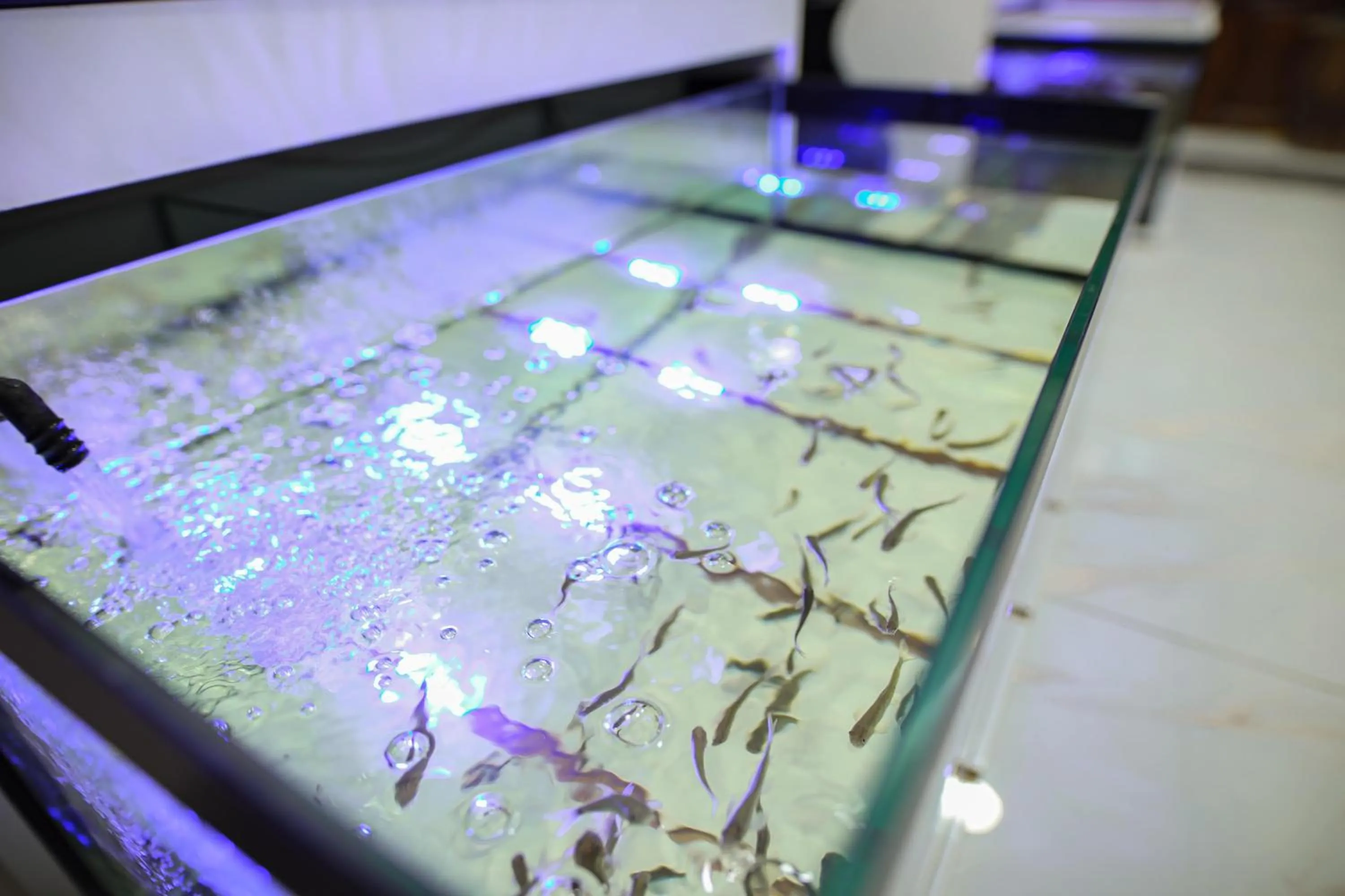 Spa and wellness centre/facilities in Emin Koçak Termal & Spa - Convention Center