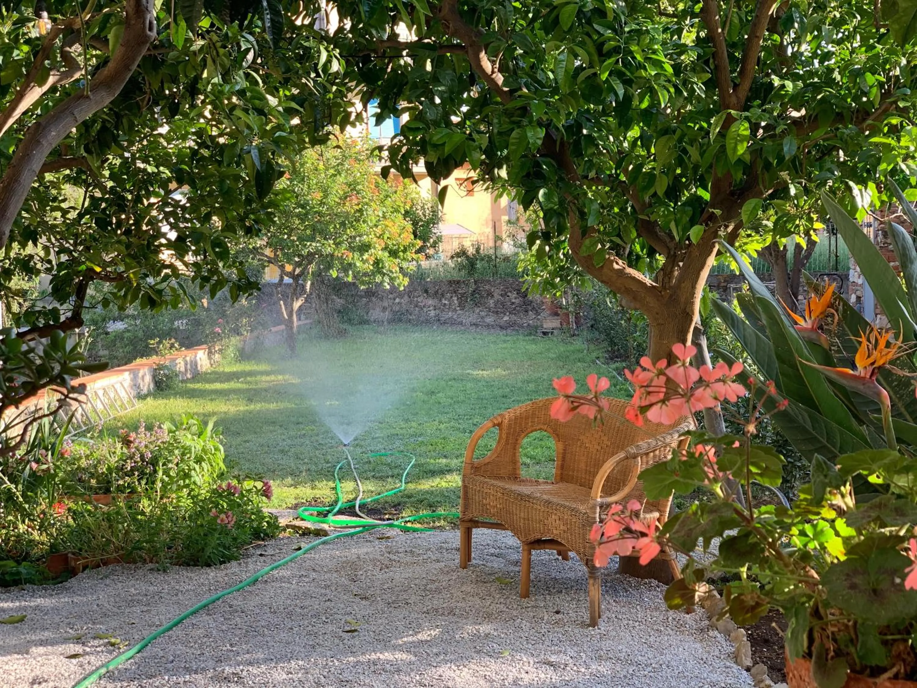 Garden in Il giardino dei limoni