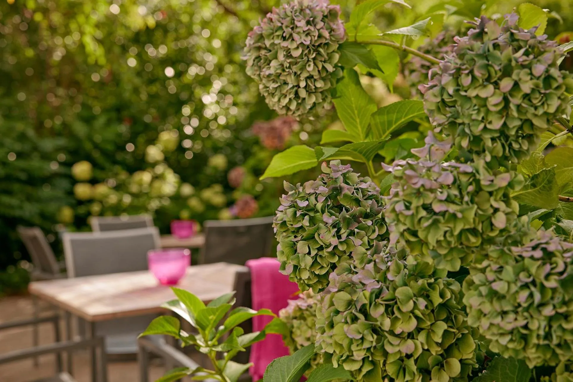 Garden in Hotel St. Annen