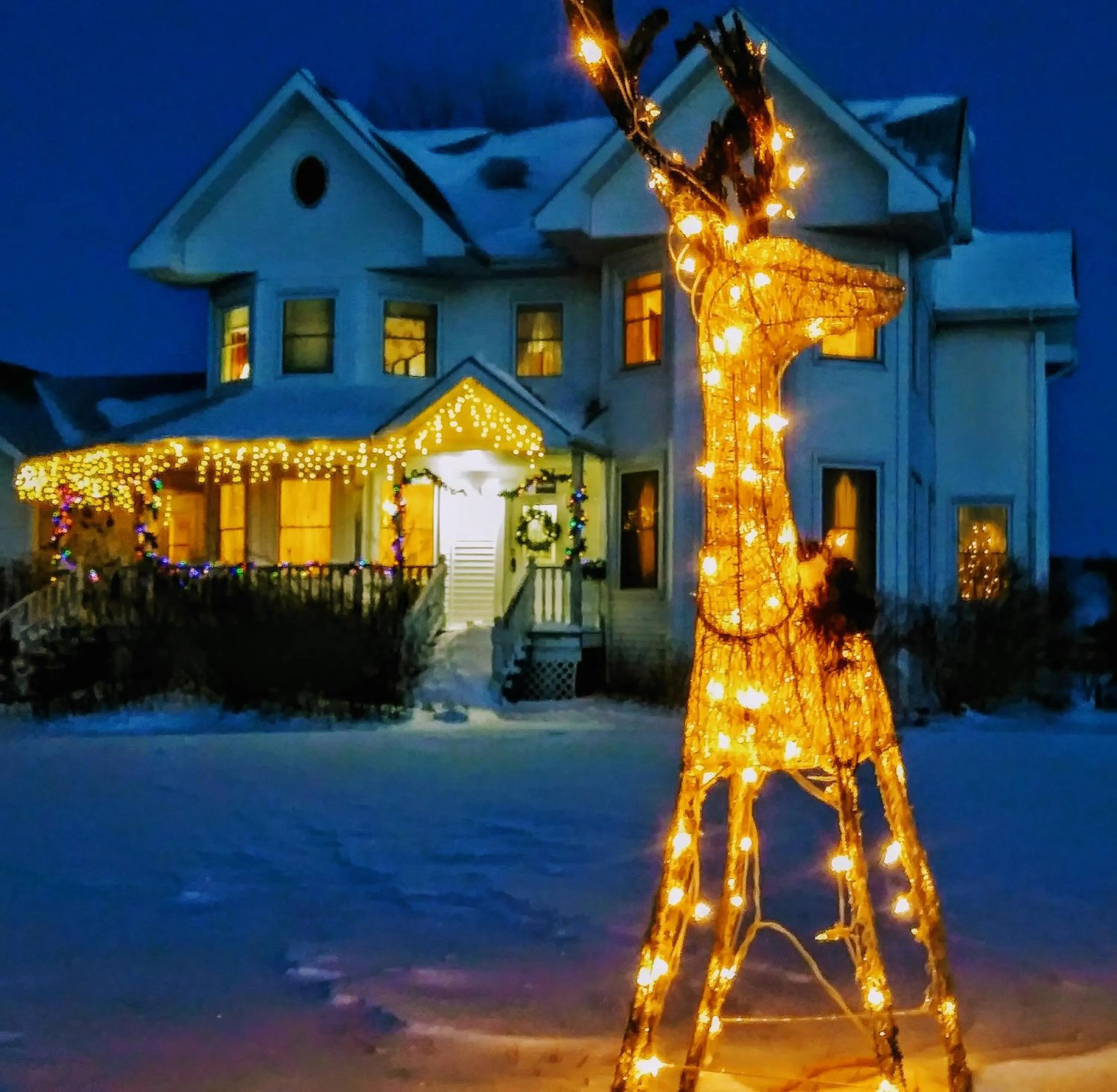 Property building in Twin Peaks B&B