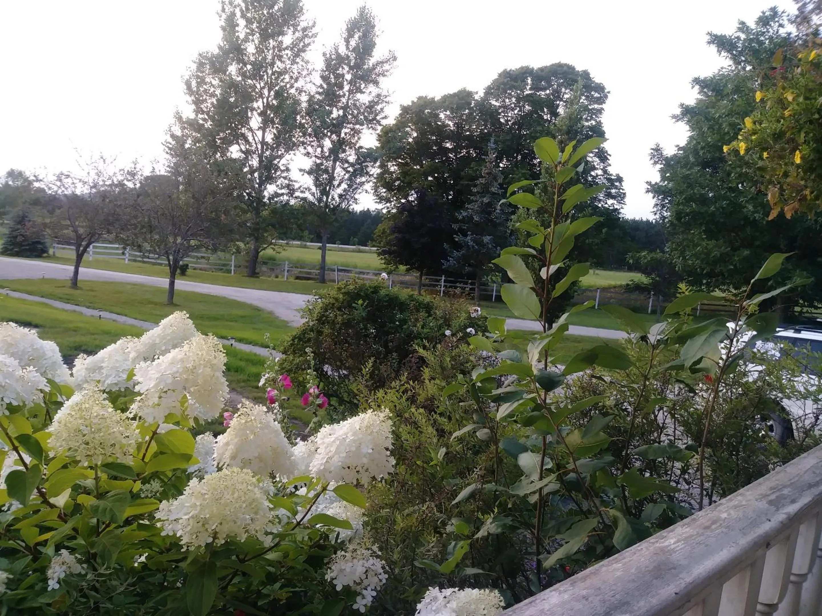 Garden in Twin Peaks B&B