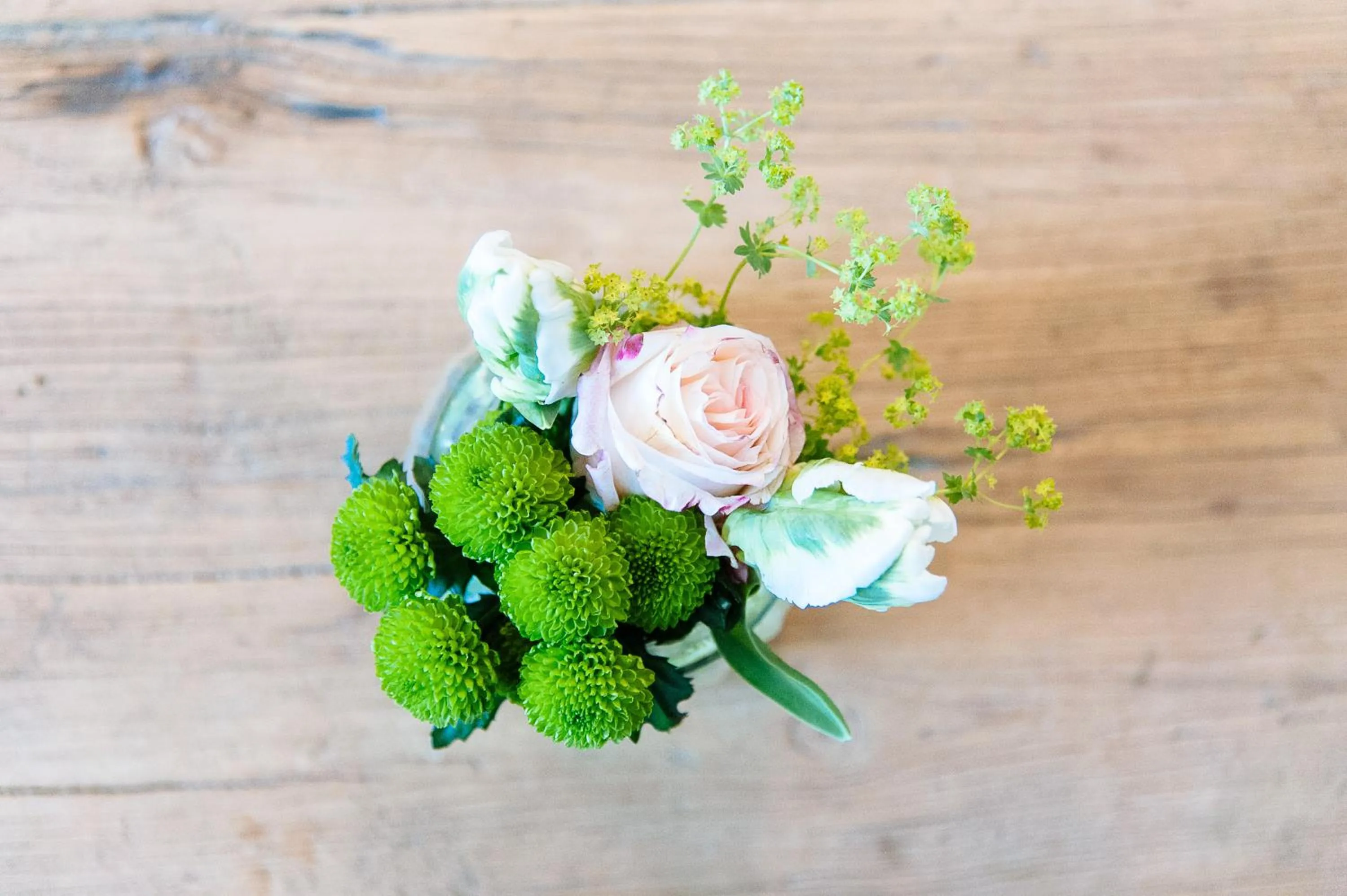 Other in Landhotel Potsdam