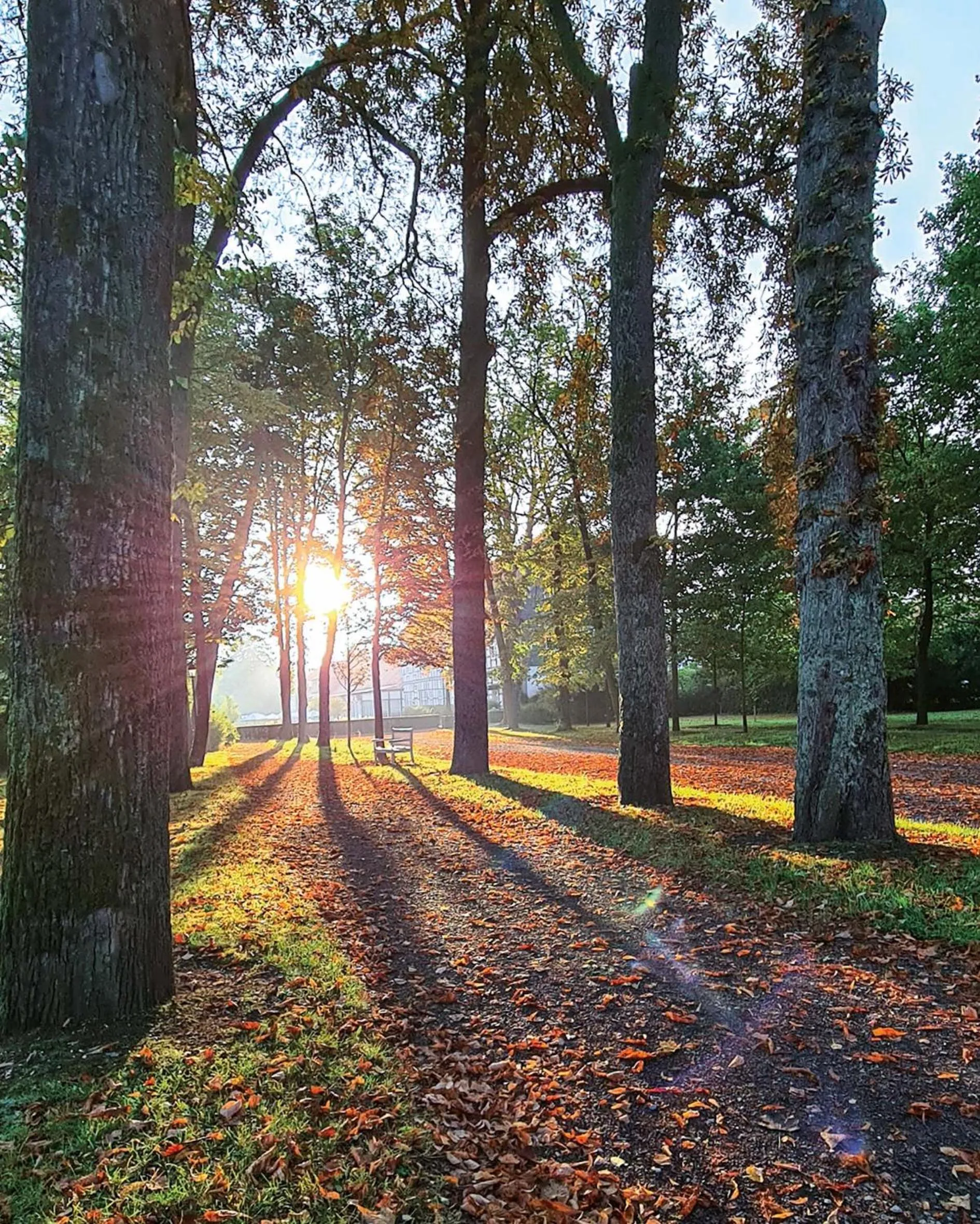Natural landscape in Gräflicher Park Health & Balance Resort