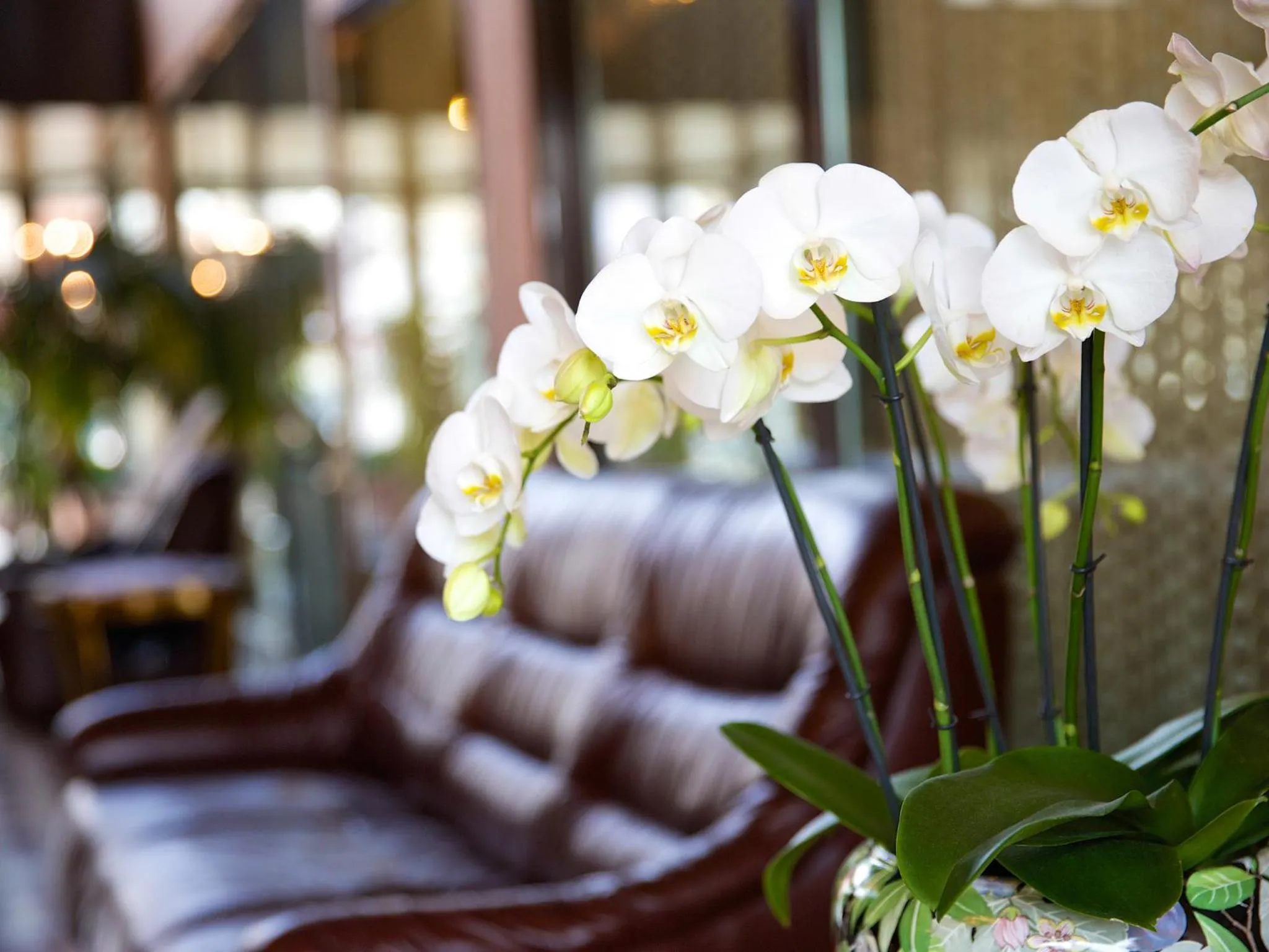 Lobby or reception in Hotel Garni Geisler