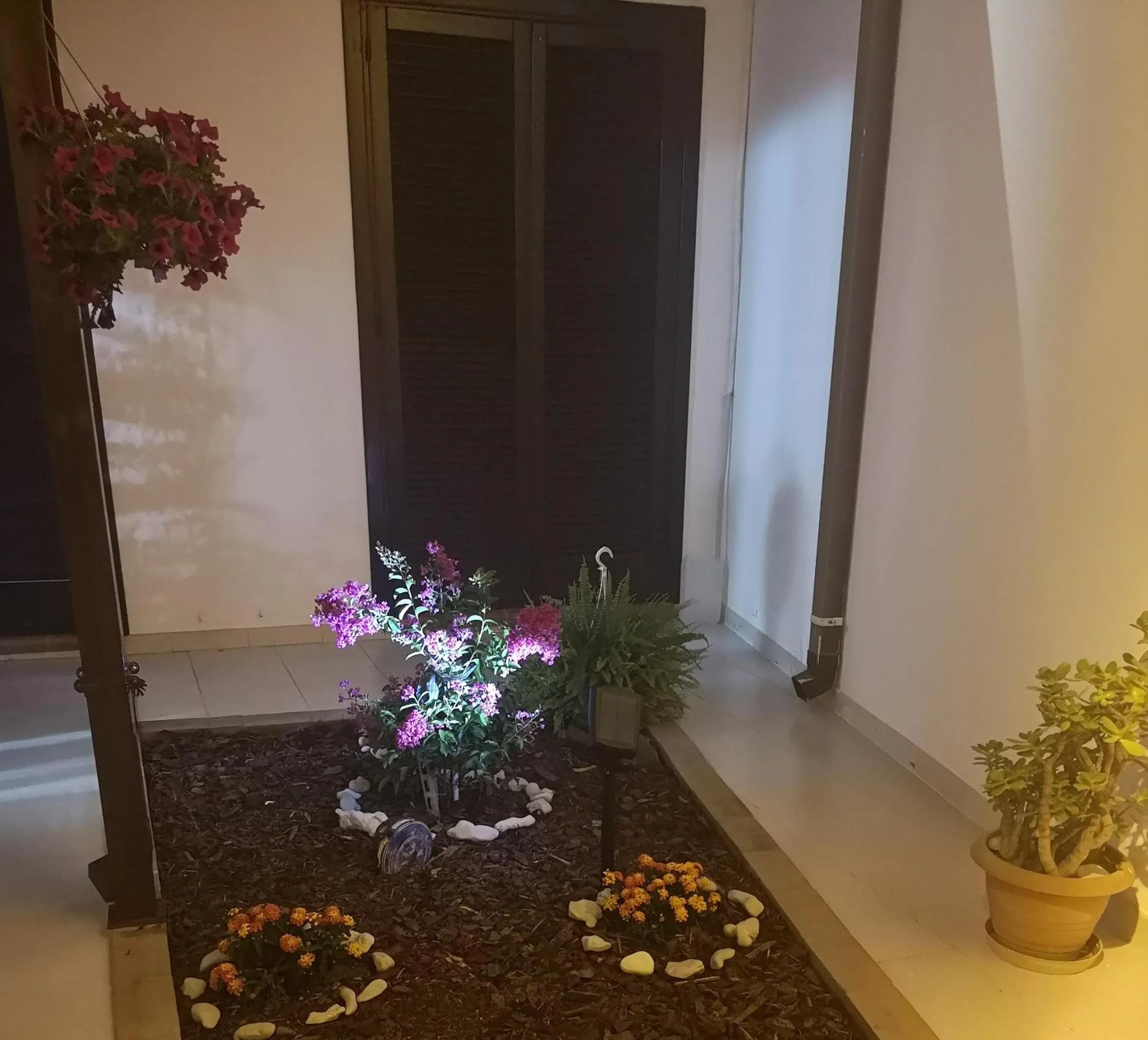 On site in B&B Amèsa