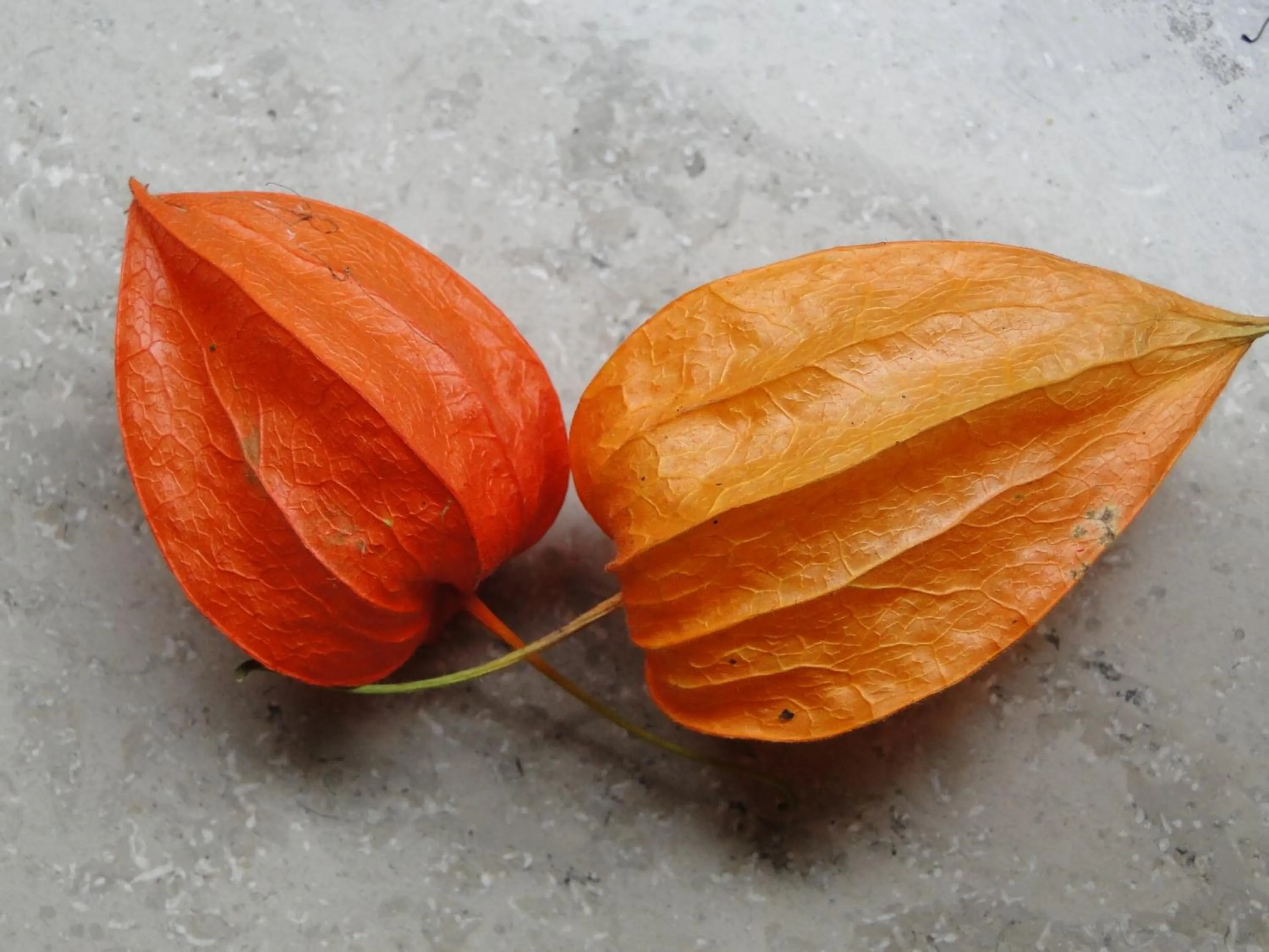 Decorative detail in Hotel Antonia