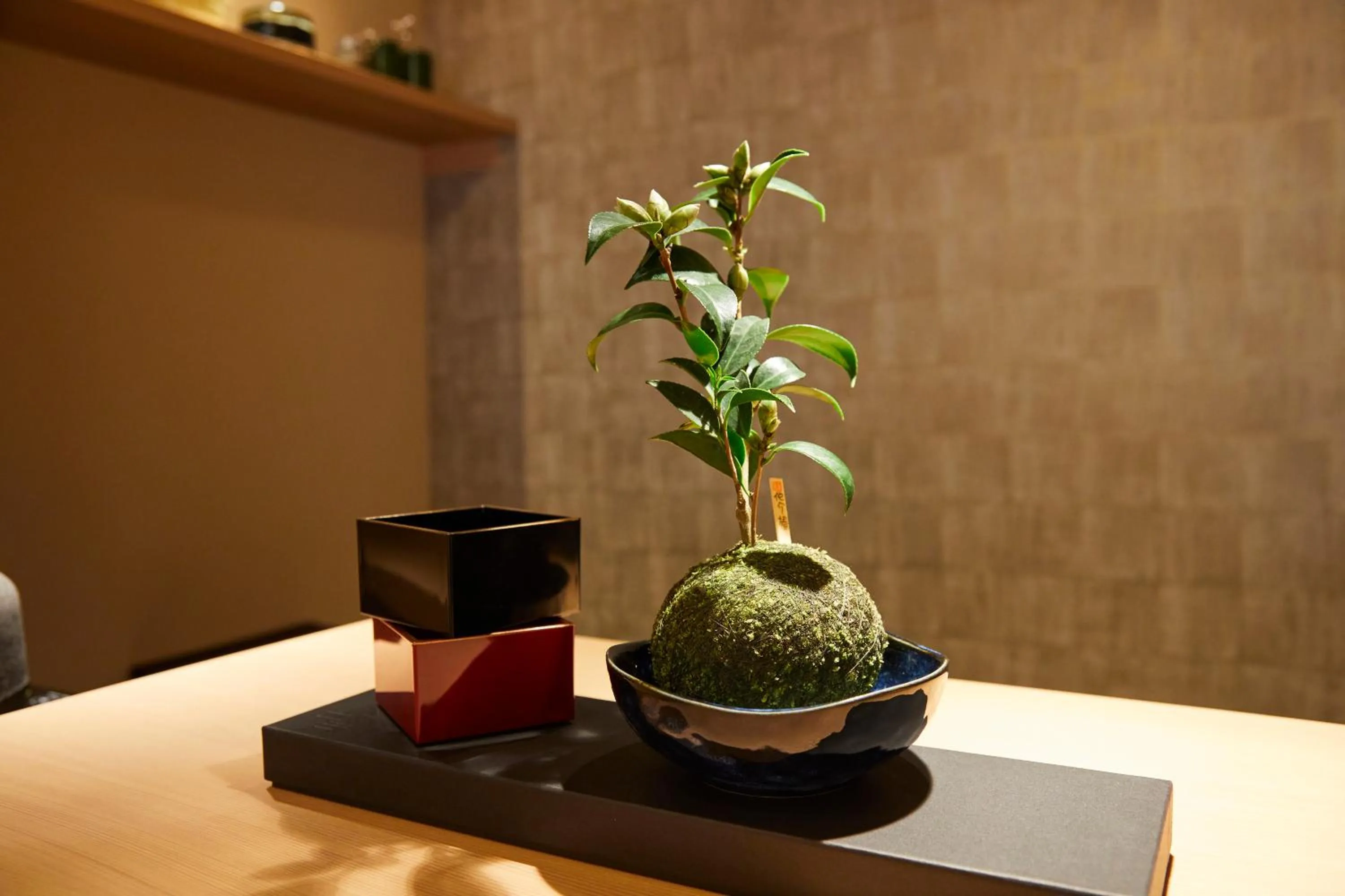 Other in Rinn Shirakawa South