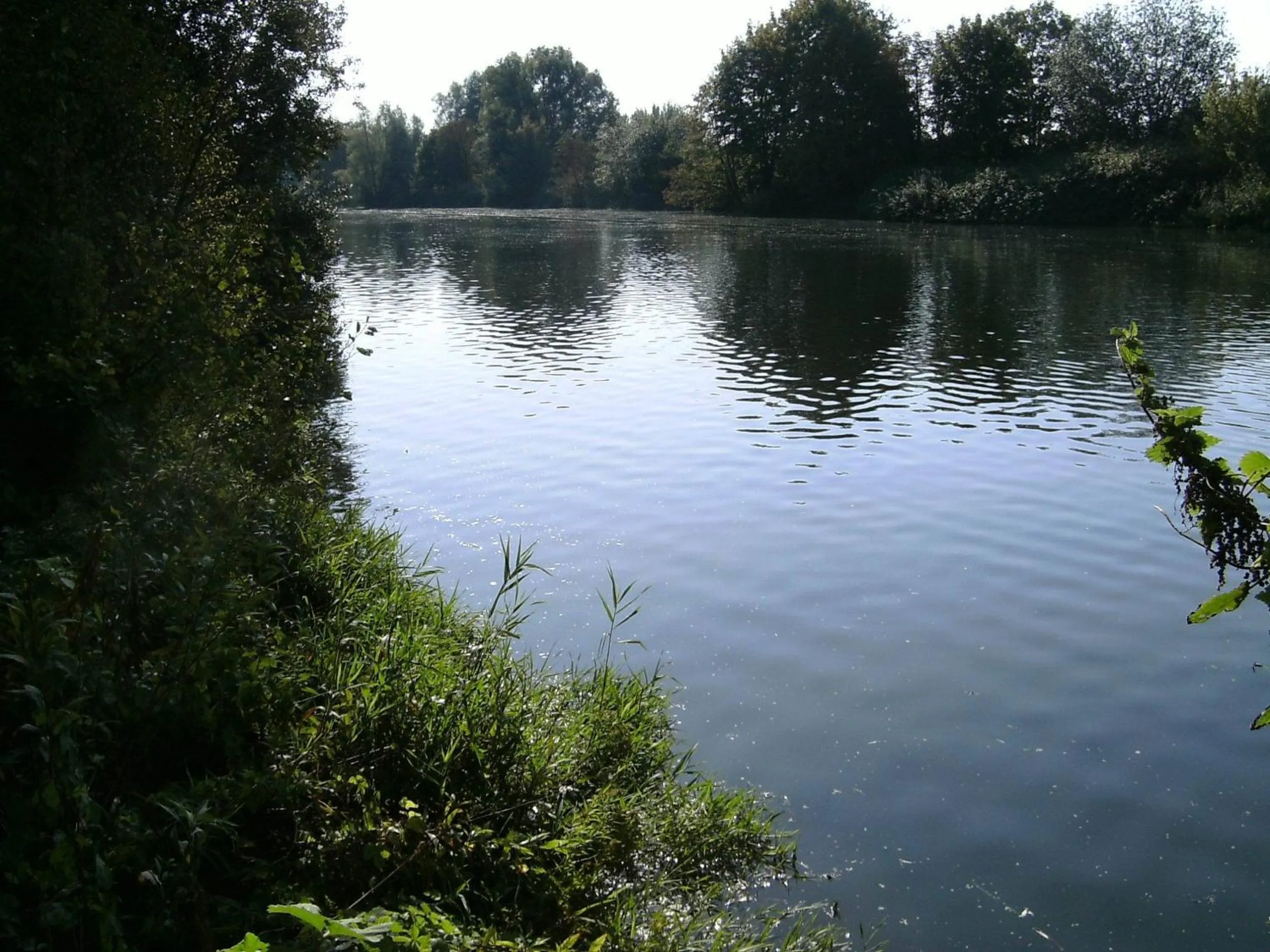 Natural landscape in Leisewitz' Garten