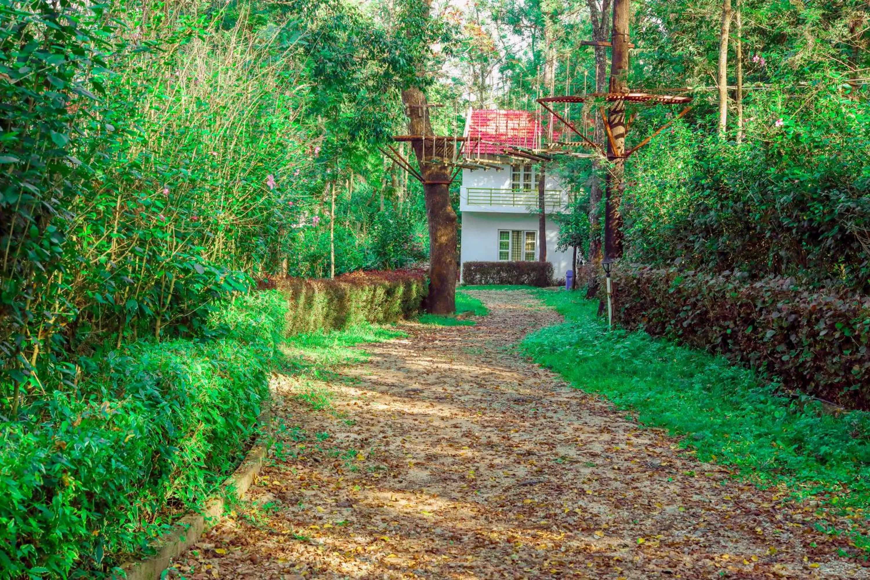 Area and facilities in The Blossom Resort - Chikmagalur