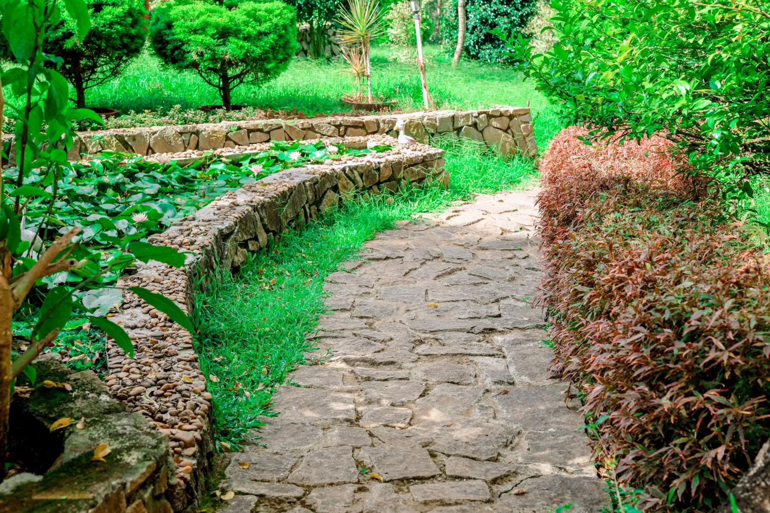 Garden view in The Blossom Resort - Chikmagalur