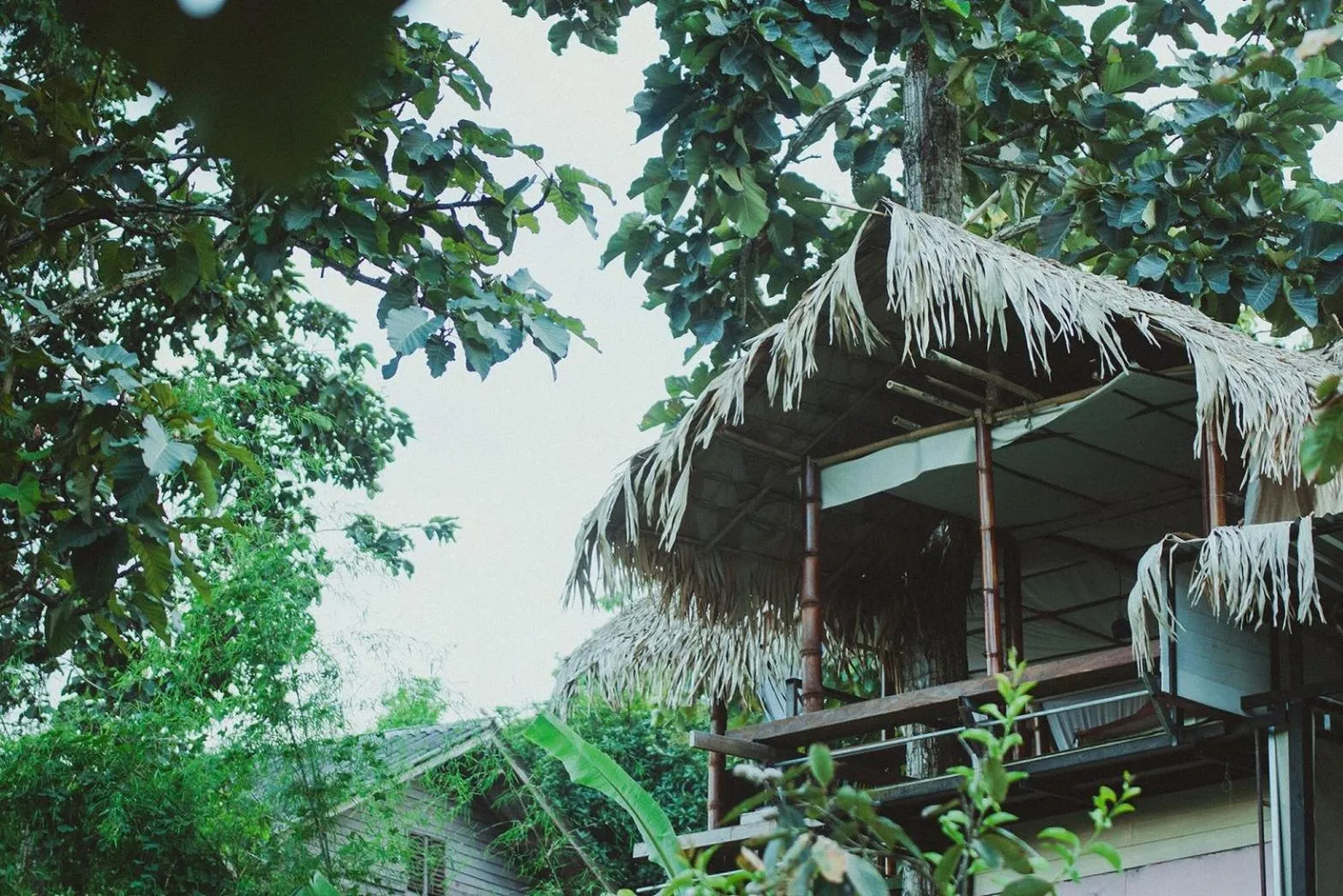 Other in Baansuan Chomchun