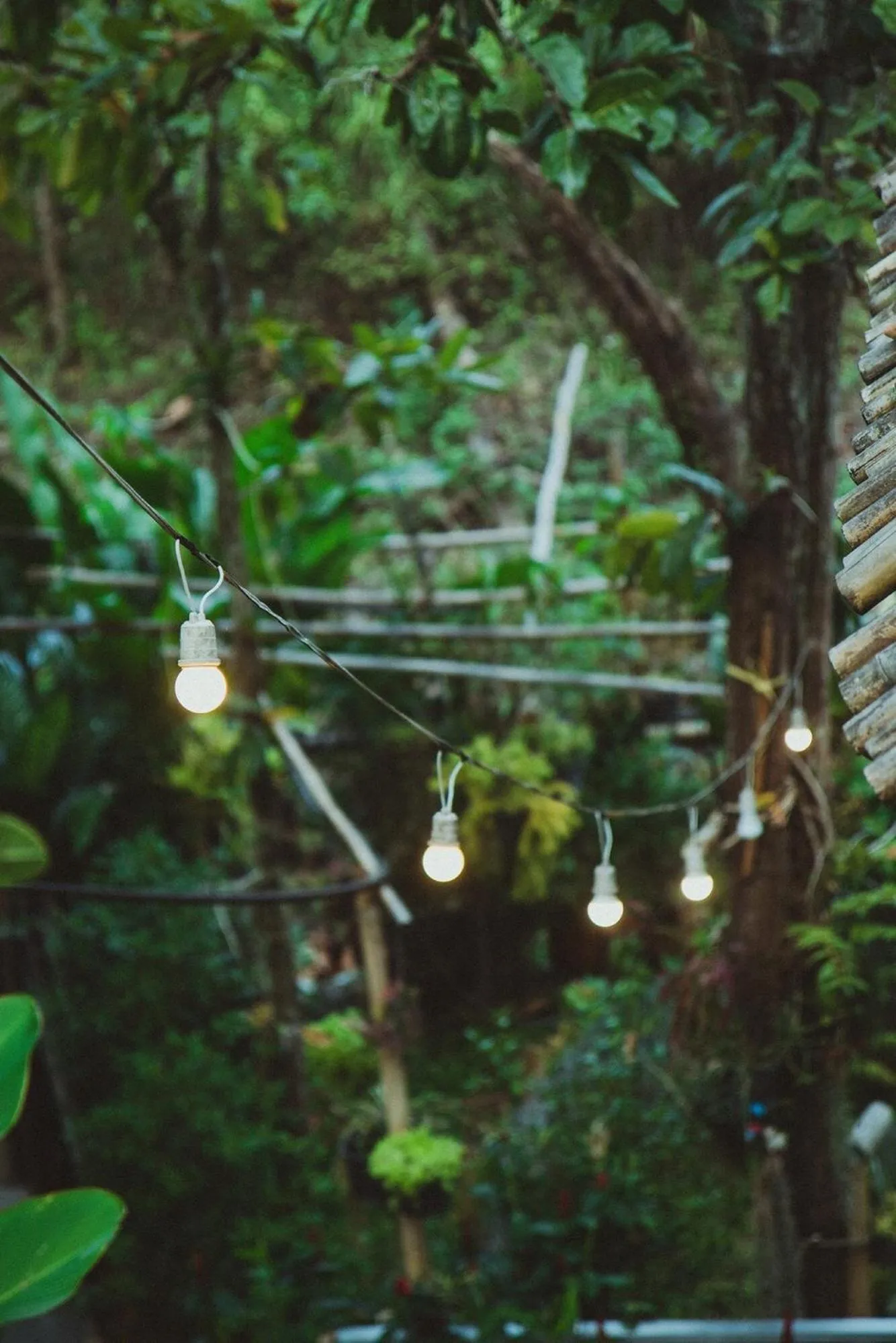 Garden view in Baansuan Chomchun