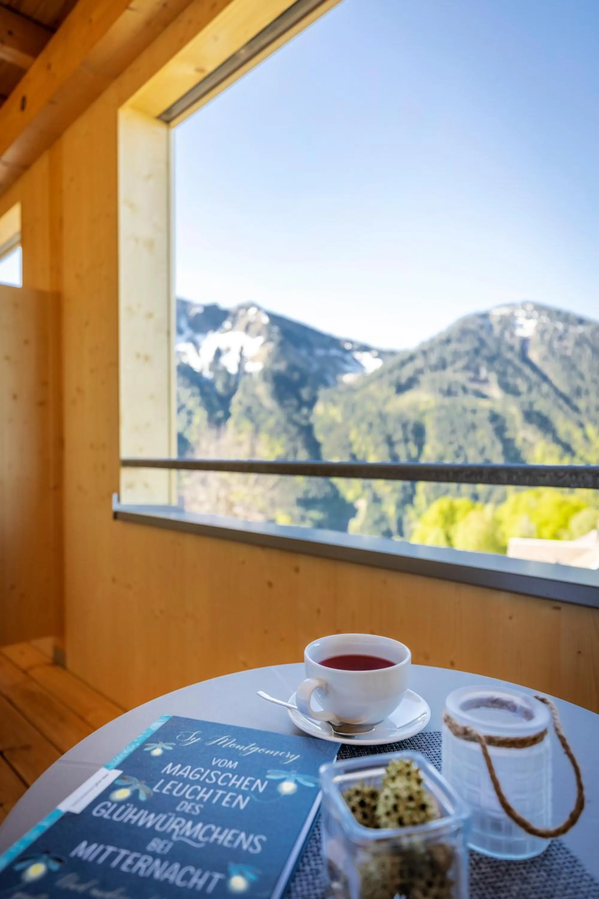 Balcony/Terrace in JUFA Hotel Laterns - Klangholzhus