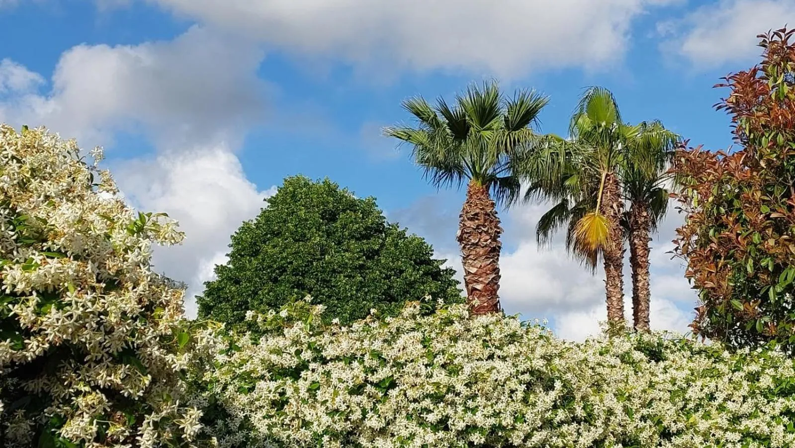 Garden in Il Casale Del Sogno