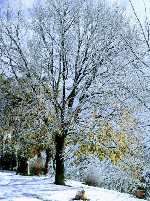 Winter in Il Casale Del Sogno
