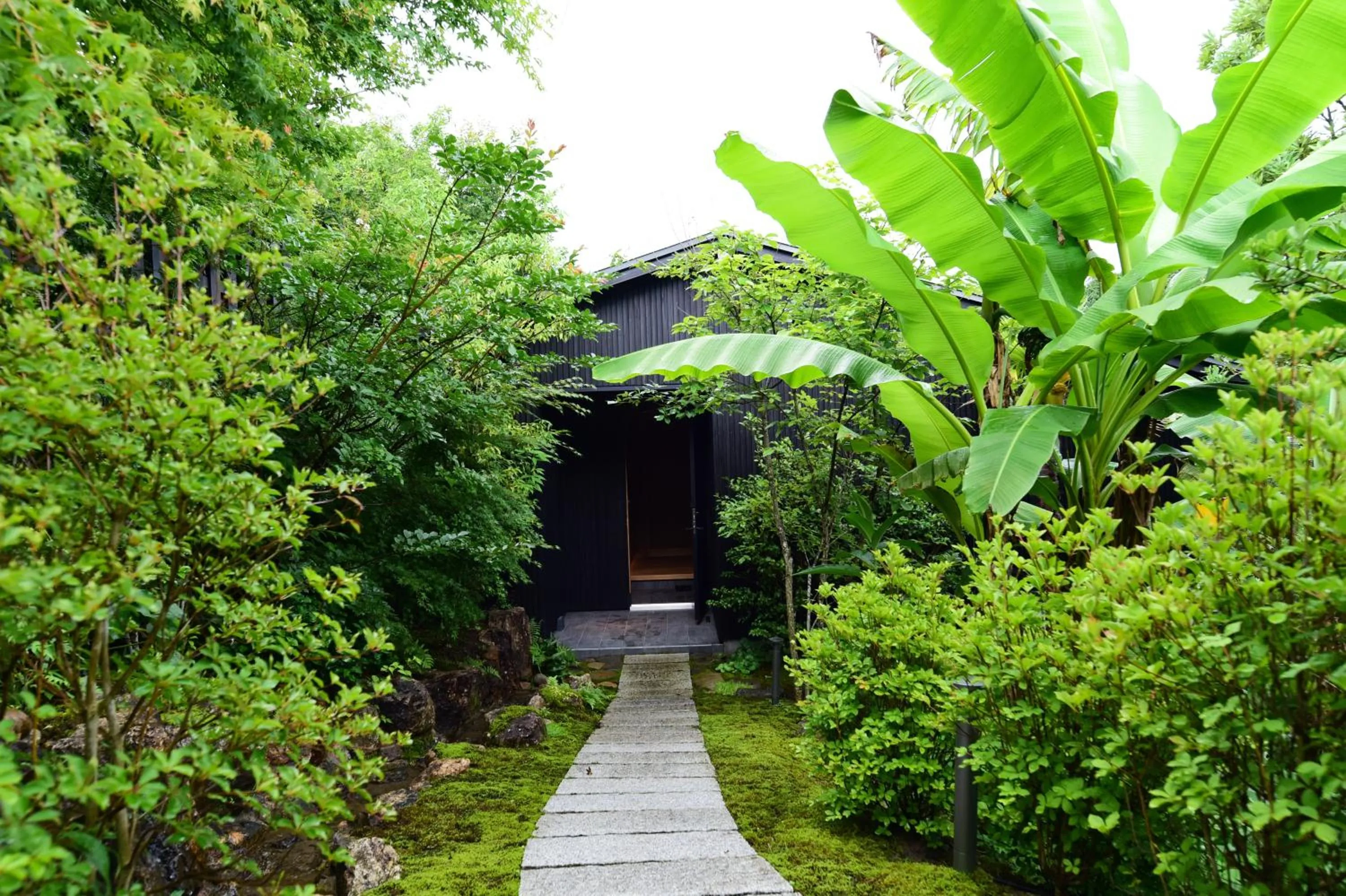 Property building in Kohanyu