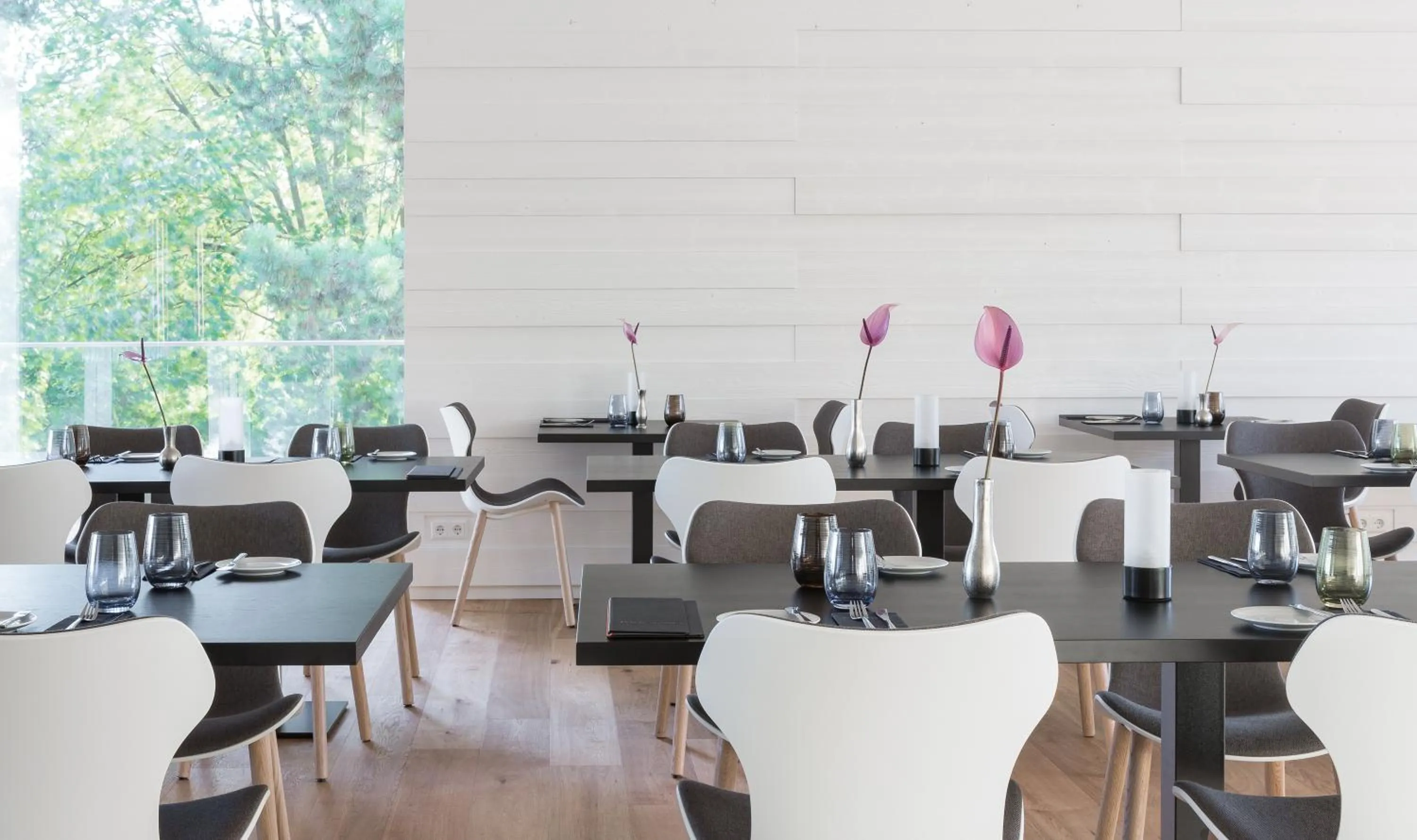 Restaurant/places to eat in SCOTTY & EMILY Hotel Ulm