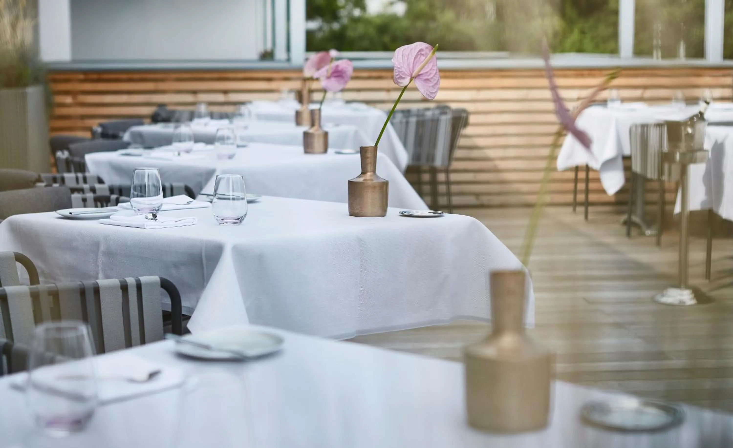 Restaurant/places to eat in SCOTTY & EMILY Hotel Ulm