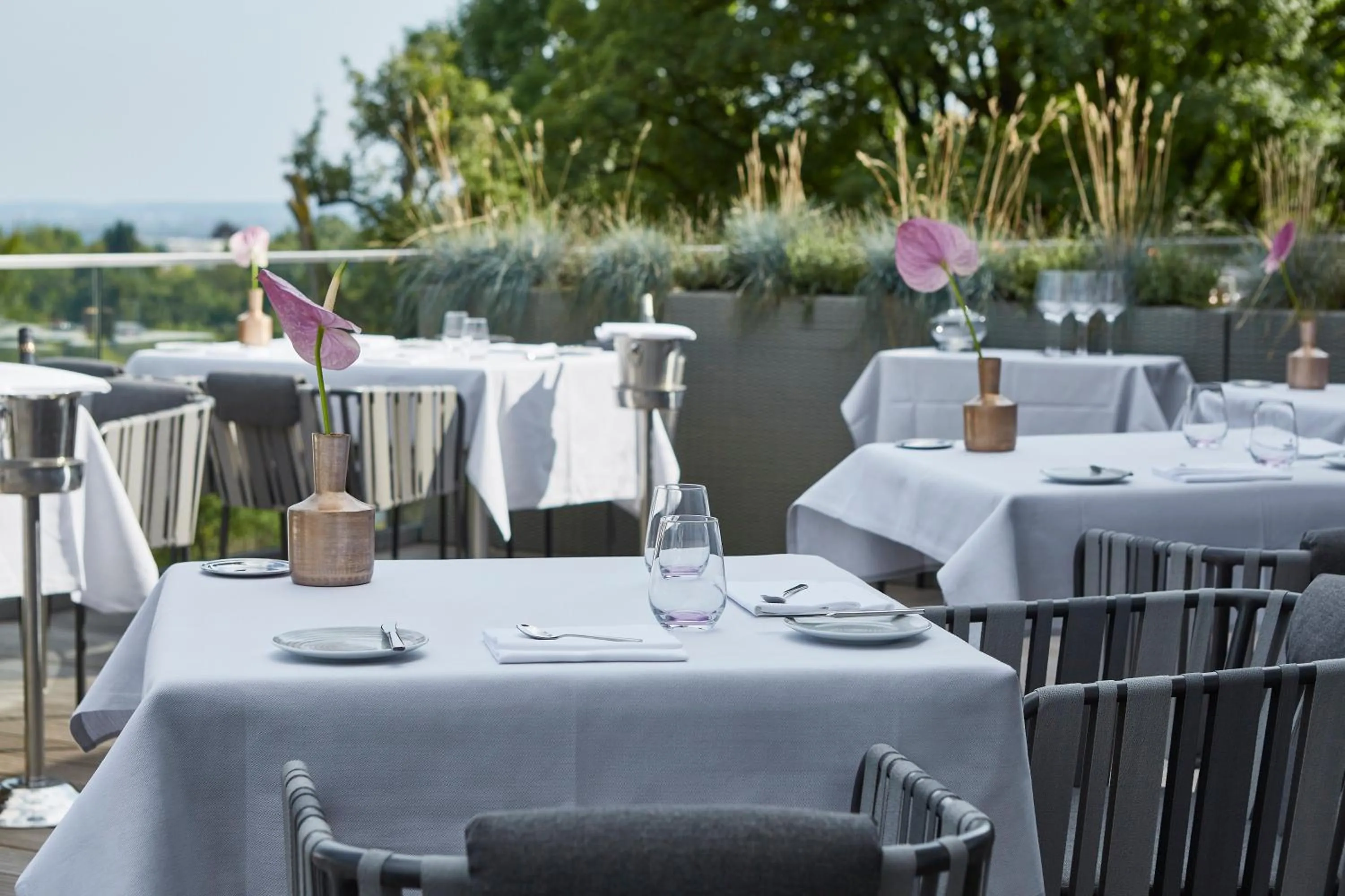 Restaurant/places to eat in SCOTTY & EMILY Hotel Ulm