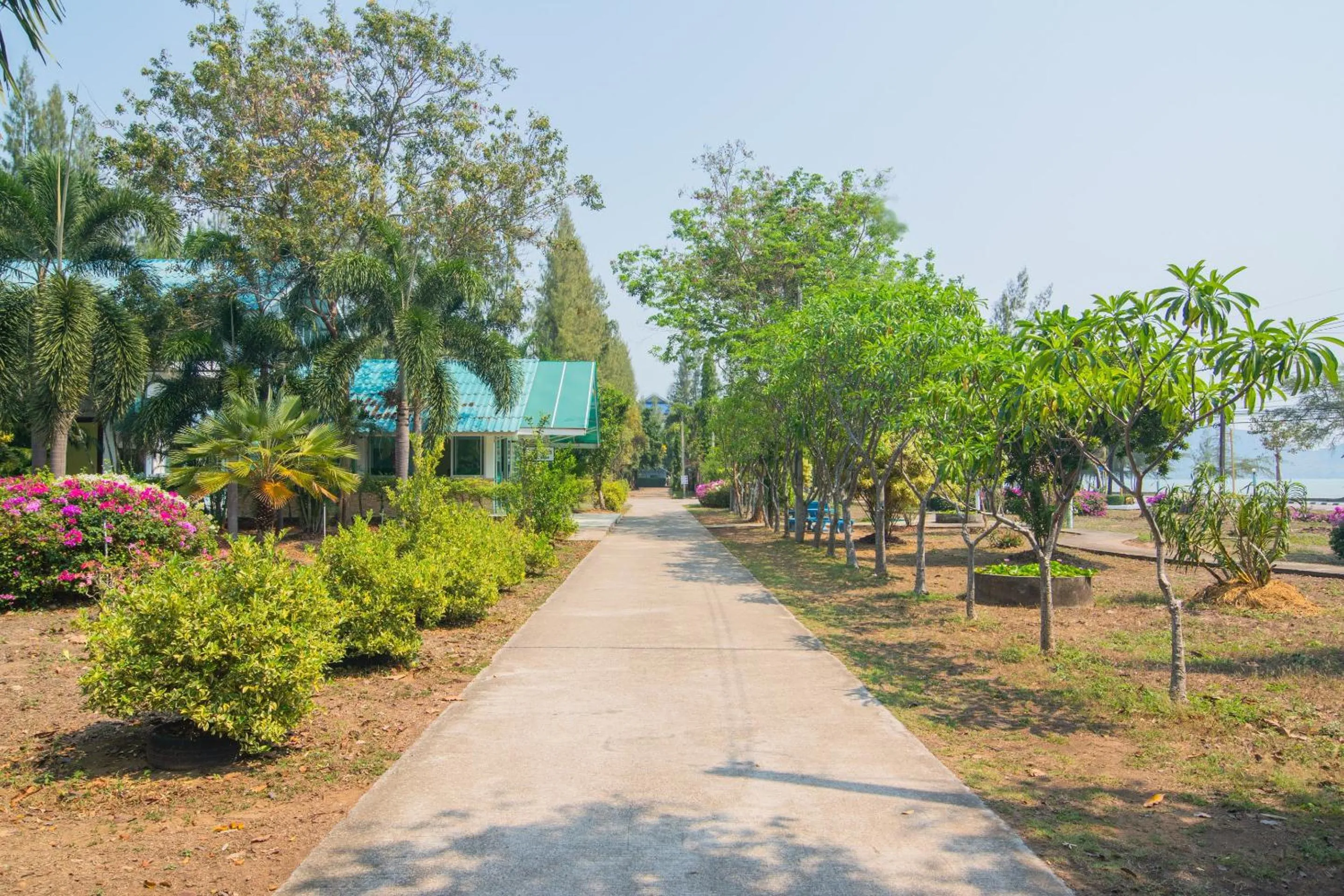 Garden in Koh Lak Resort