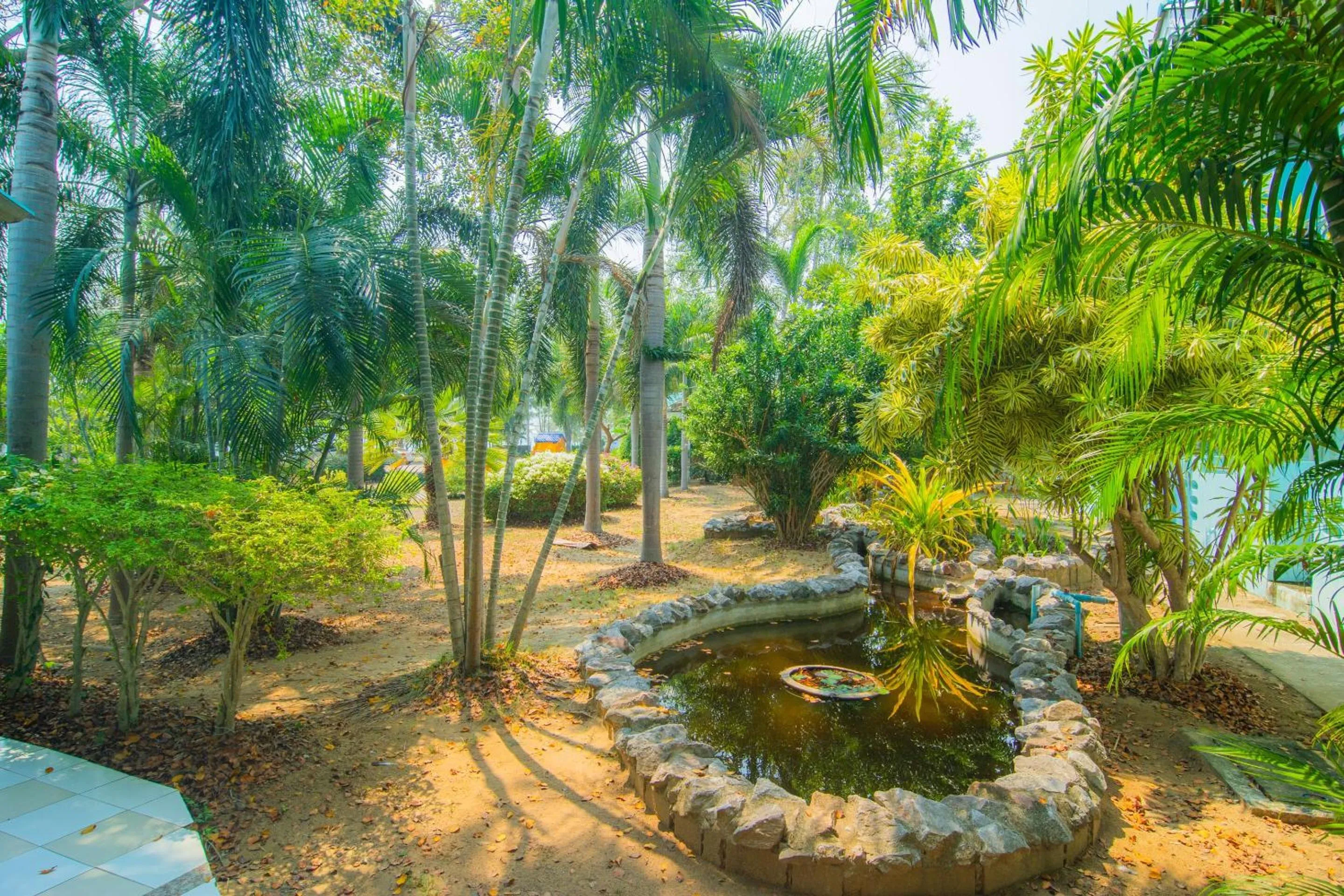 Garden in Koh Lak Resort