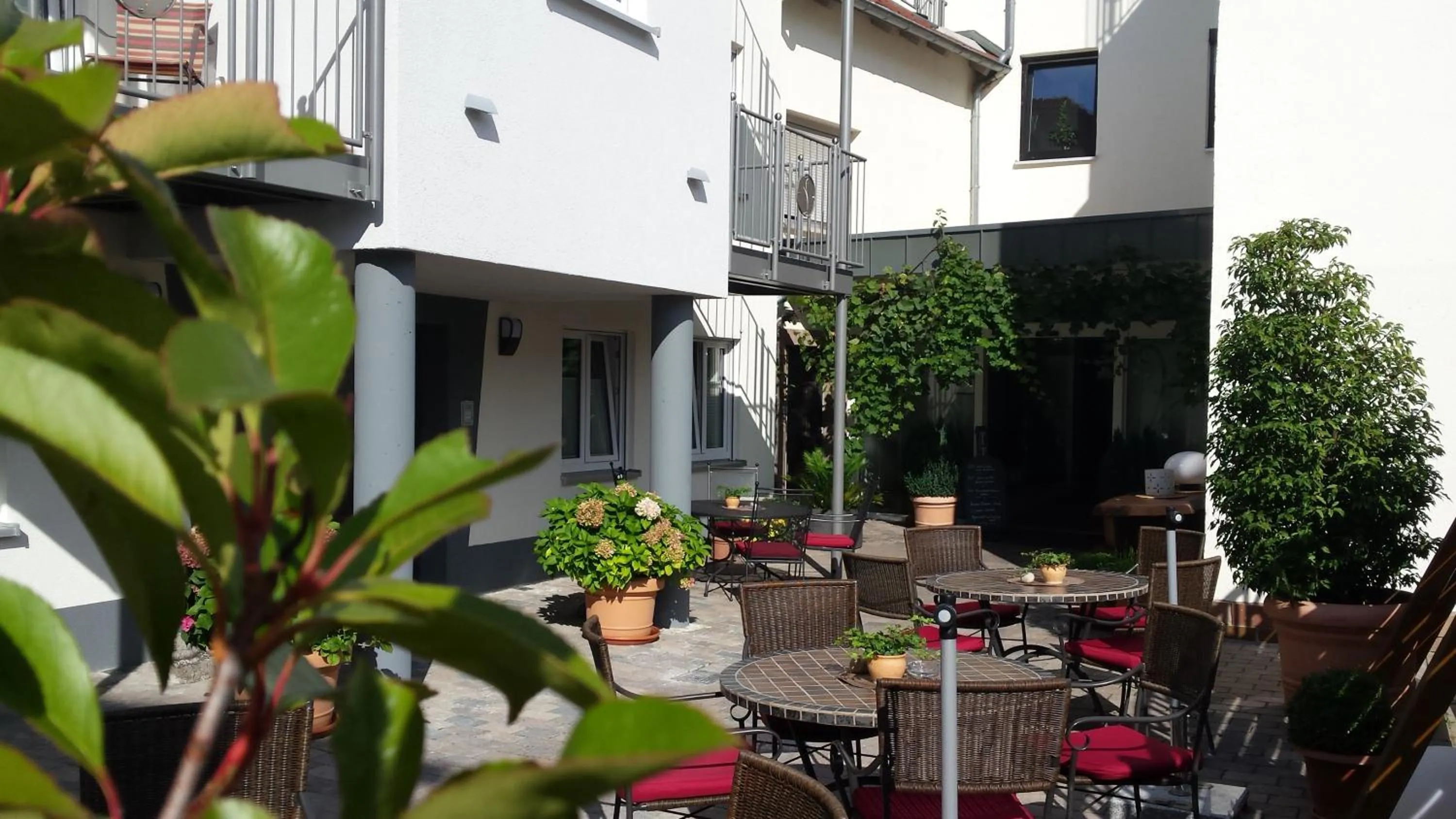 Balcony/Terrace in Hotel-Restaurant Pfälzer Hof